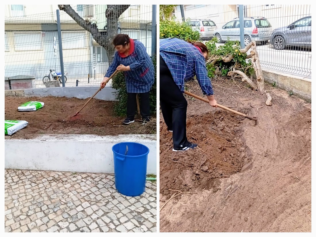 Após retirar todo o lixo e raminhos e restos das raízes as educadoras e assistentes limparam e prepararam a terra para as primeiras sementinhas e plantinhas...