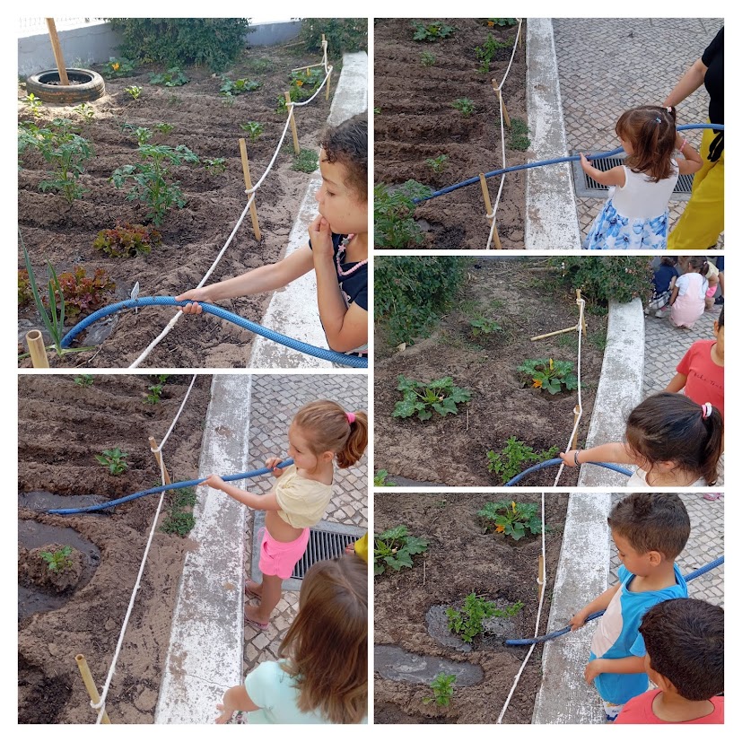 Aqui vemos os alunos empenhados em manter a horta bem regadinha, pois o calor começou a apertar...