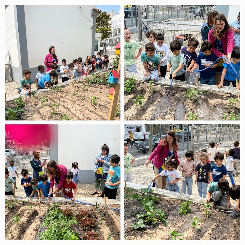 Os alunos das duas salas diáriamente habituaram-se a ir cuidar da hortinha...limpar, regar, enfeitar e até plantar mais produtos hortícolas..., rabanetes, alfaces roxas, feijão rasteiro, tomateiros, pimentos de várias cores, cebolo, coentros, courgetes...
