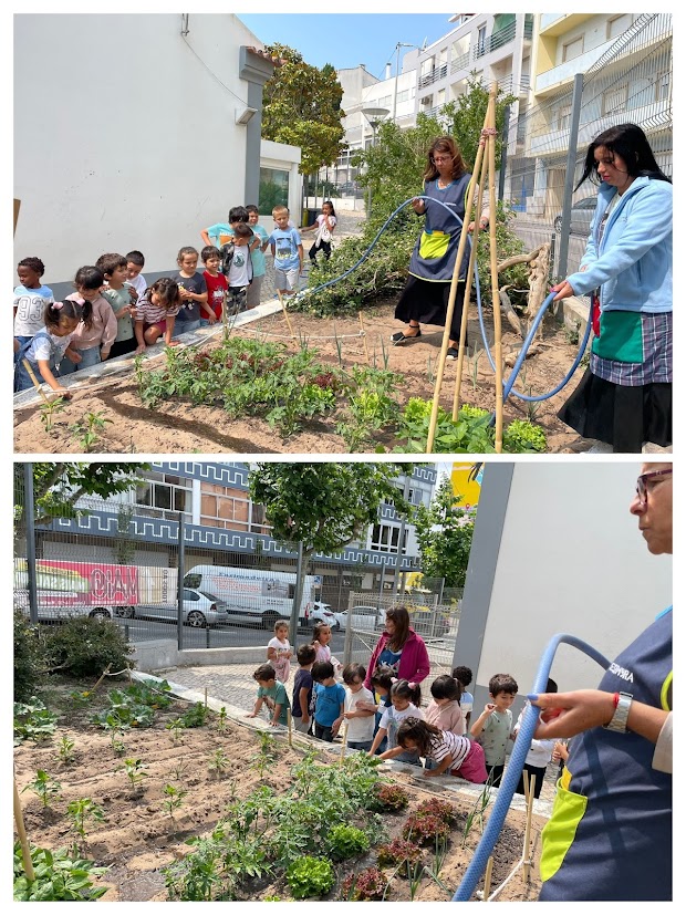 Mais um momento de rega na Hortinha...agora é esperar e ver crescer os produtos hortícolas e as ervas aromáticas também...tomilho, alfazema,...e outros