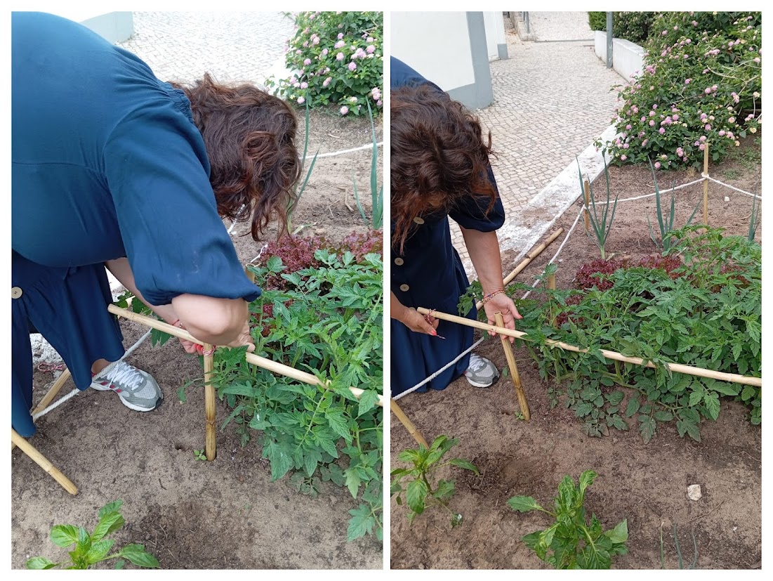 Aqui vemos a preparação de sebes e melhoria dos canteiros para as plantinhas crescerem melhor...