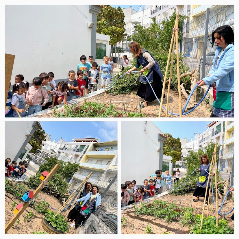 Mais umas fotos de alguns momentos de rega da horta...
