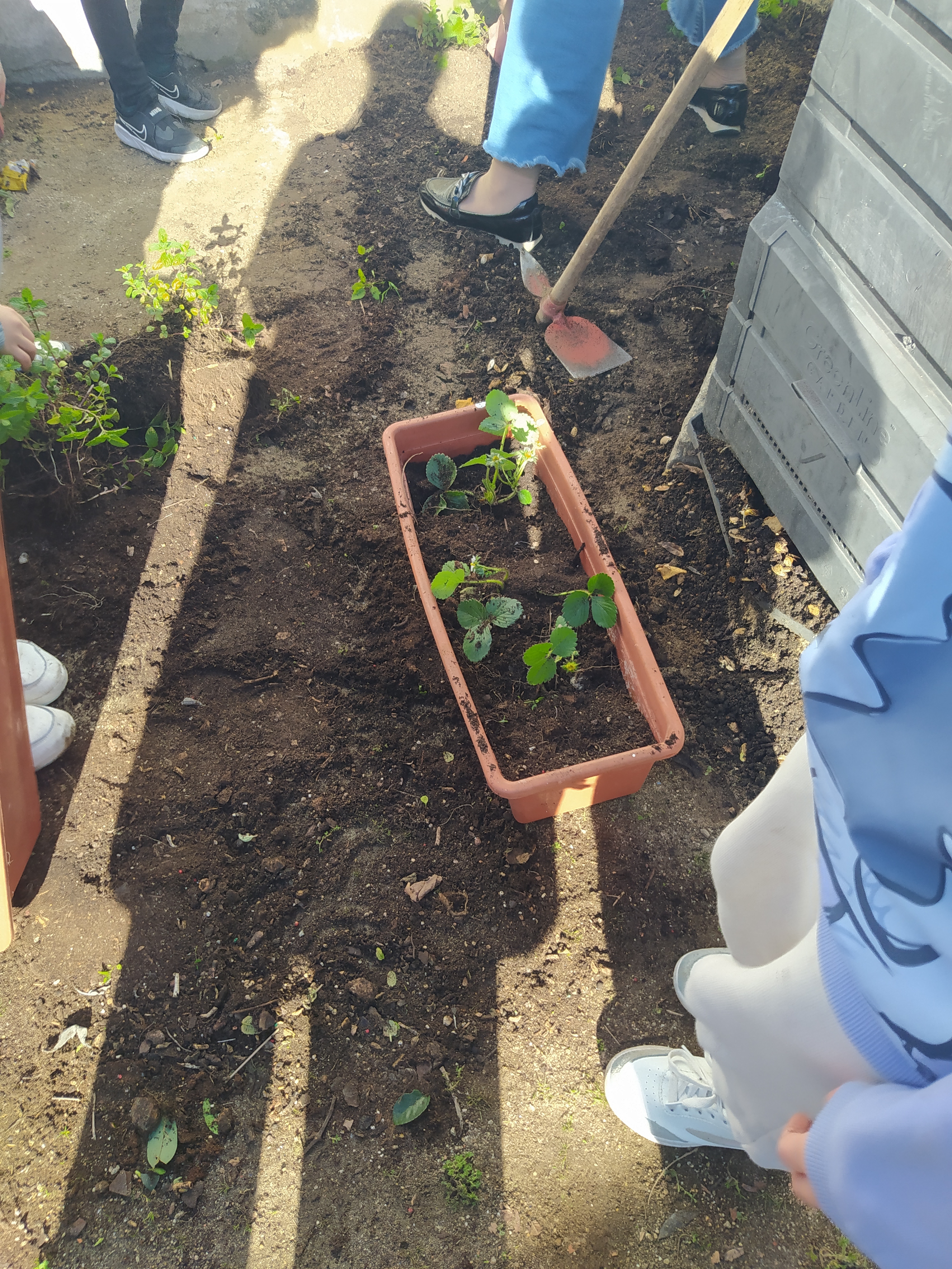 Começamos a preparar o tereno e a colocar uma vedação com vegetação.