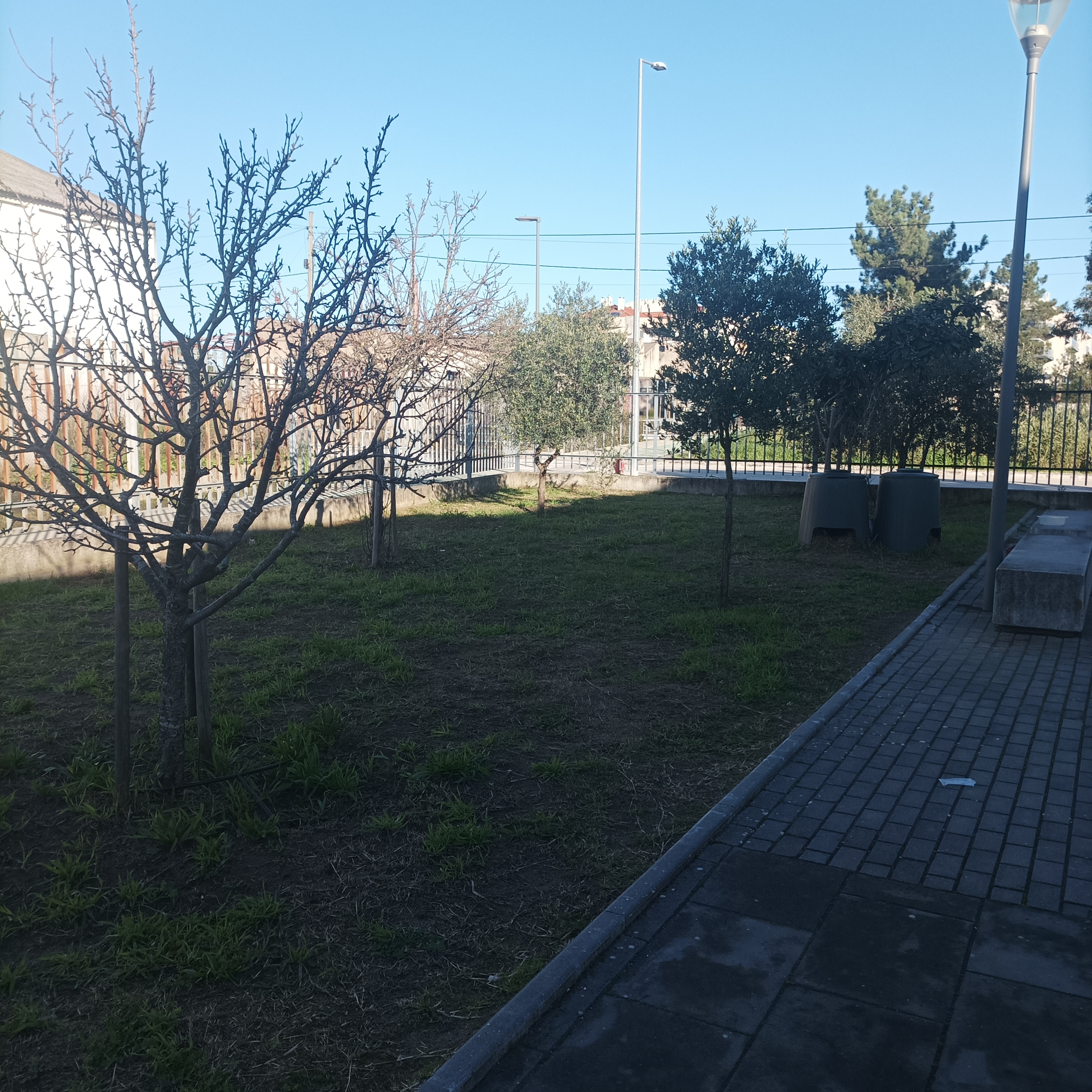 Localização da Horta Bio na escola.
Horta com mais de 50m2,que
irá ser brevemente intervencionada pelos alunos com o objetivo de se iniciar a plantação dos produtos.