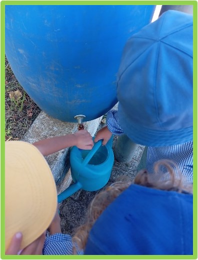 Reservatório para recolha da água da chuva (utilização da água para regas)