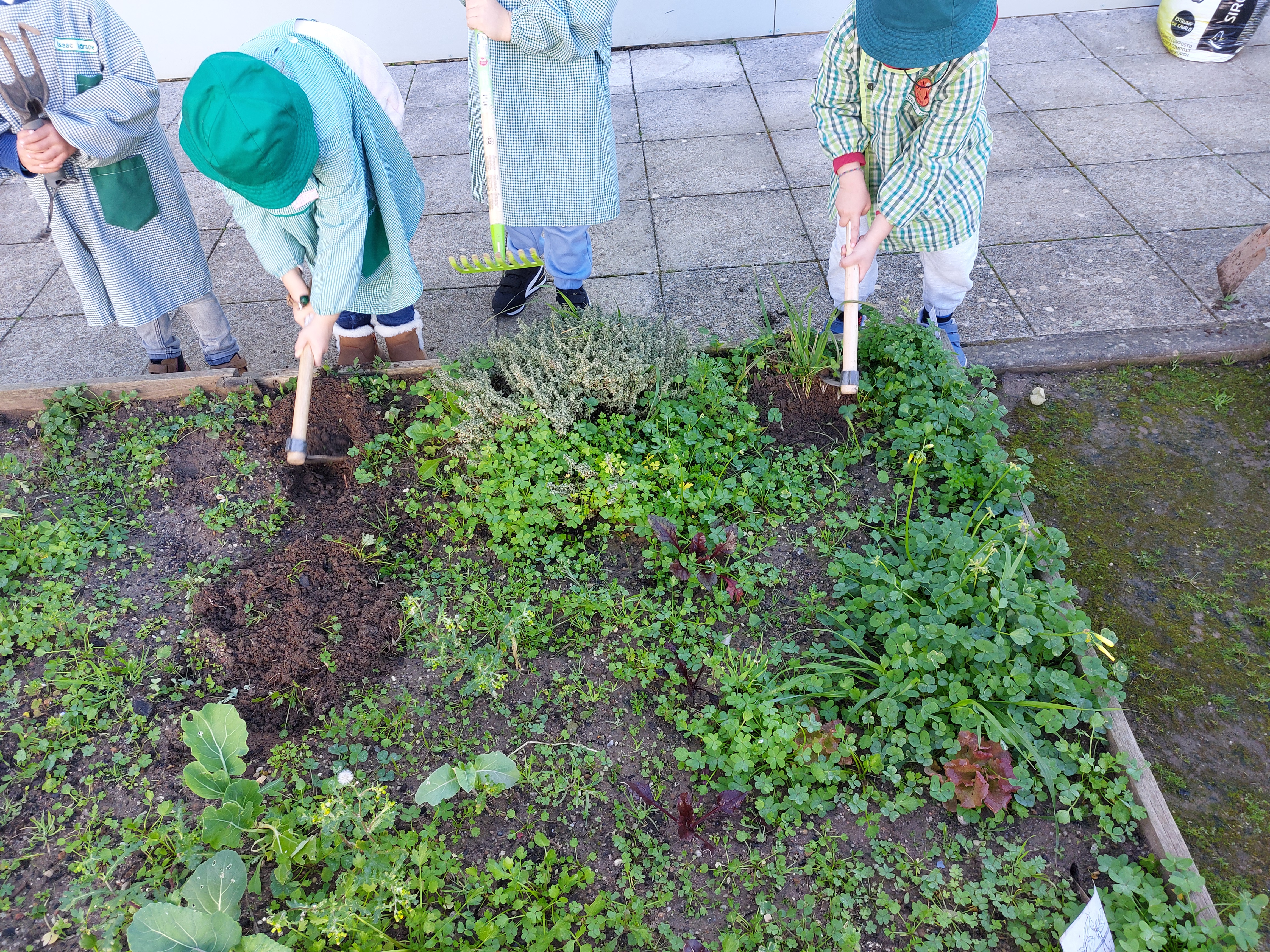 Cavar - preparar a horta para plantar novas culturas