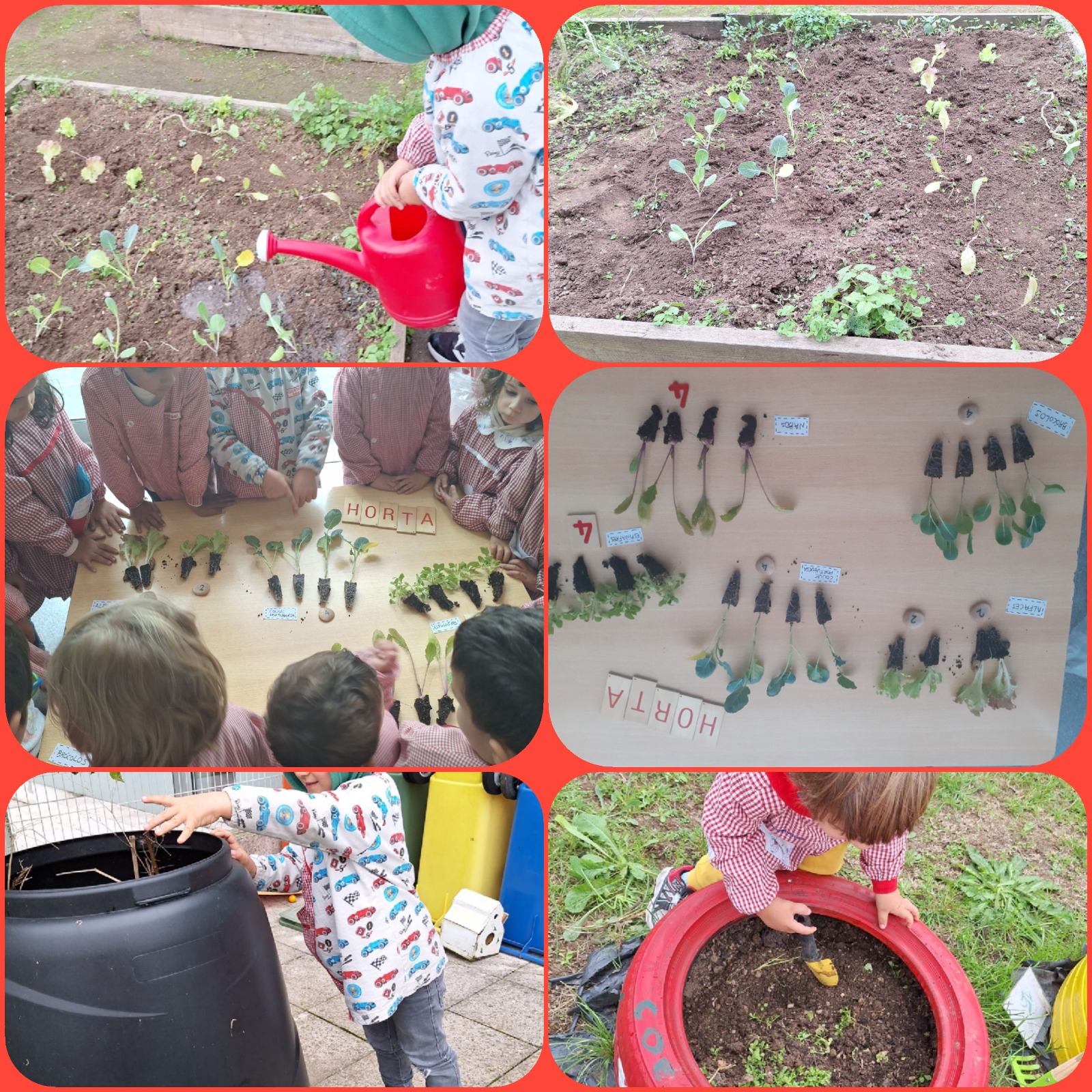 Cultivar a terra -inicio das plantações