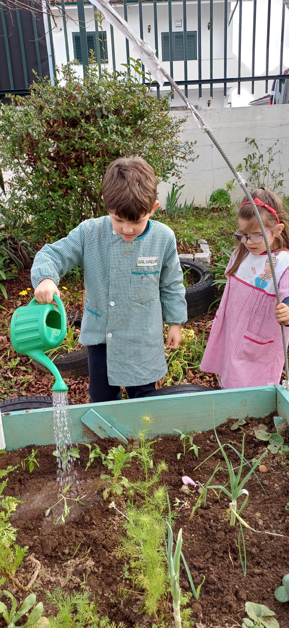 Rega das plantações
