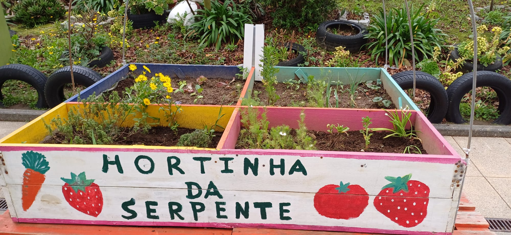 Vista geral da horta