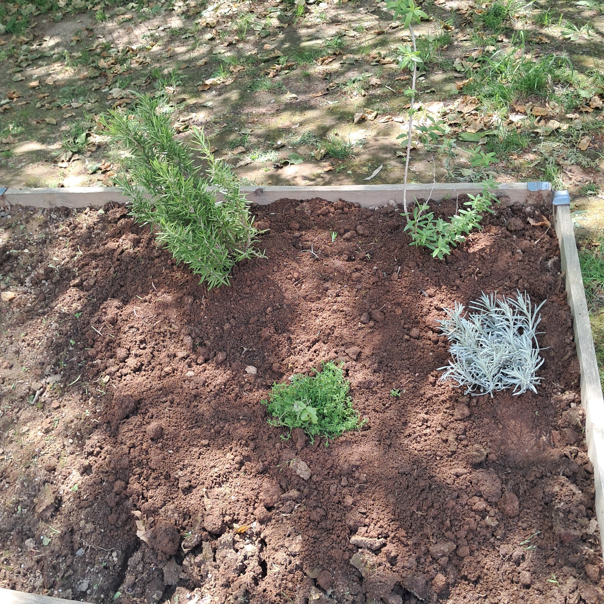Horta