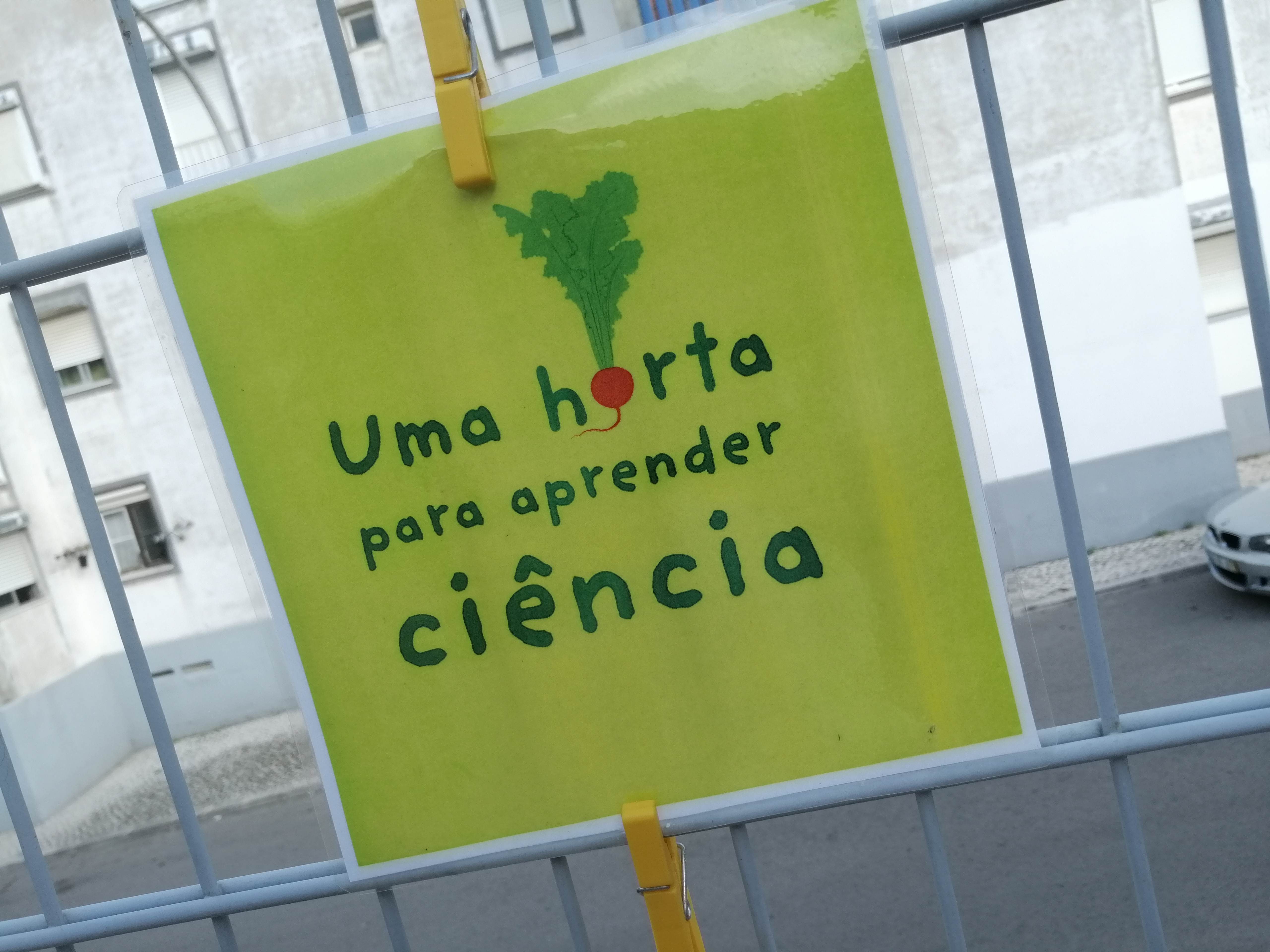 Uma horta para aprender ciência