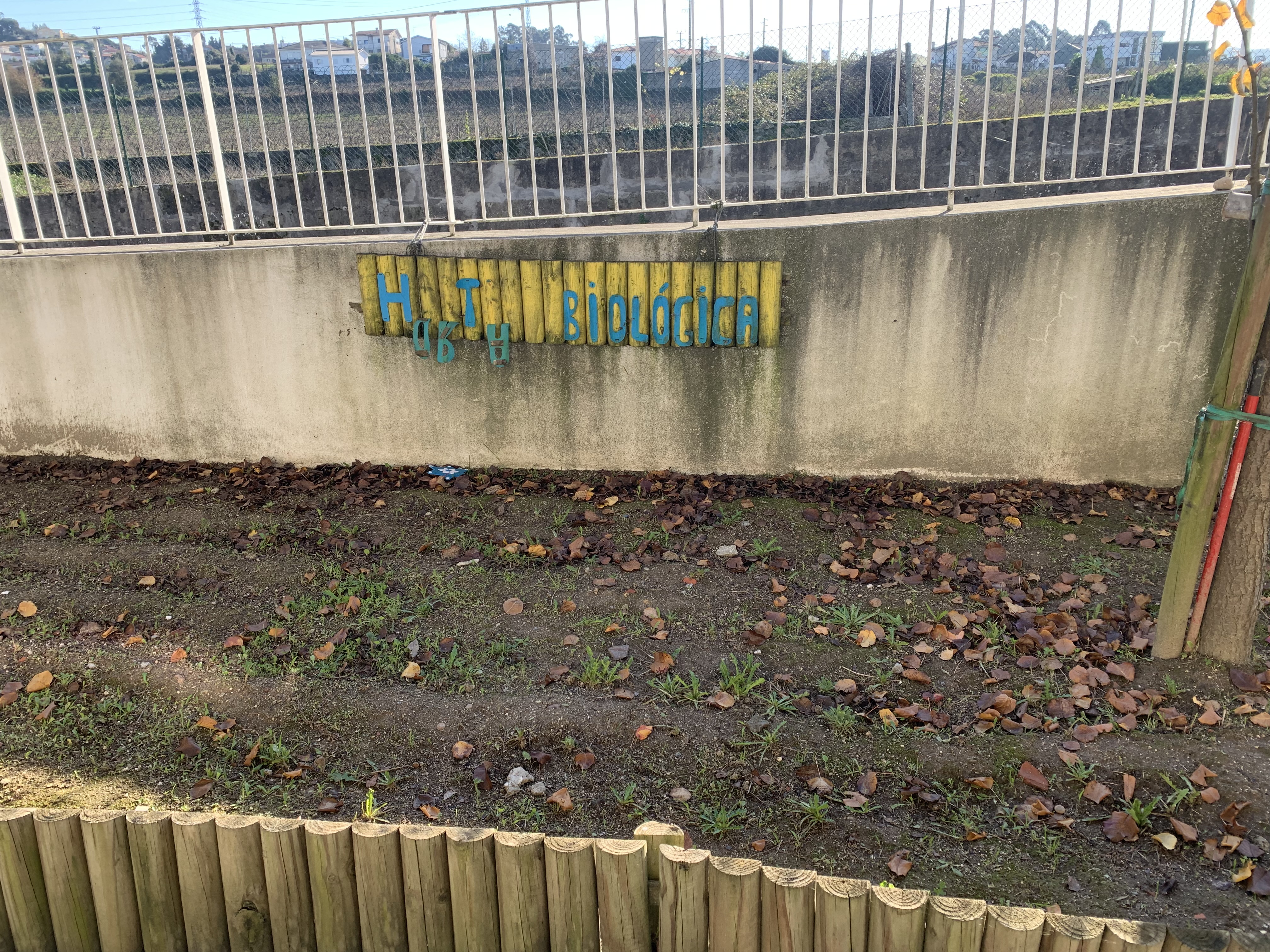 Horta escolar no mês de janeiro