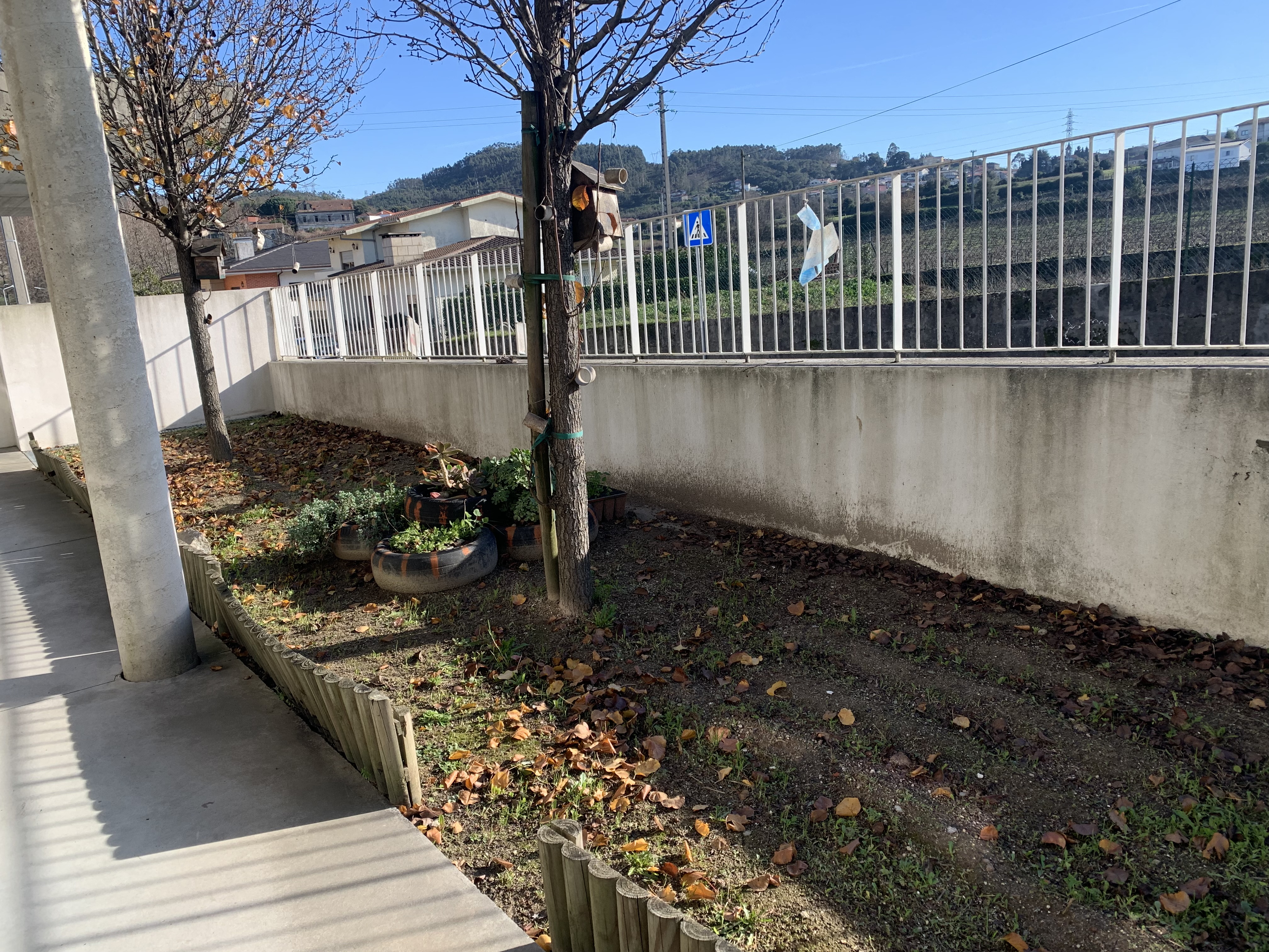 Horta escolar no mês de janeiro