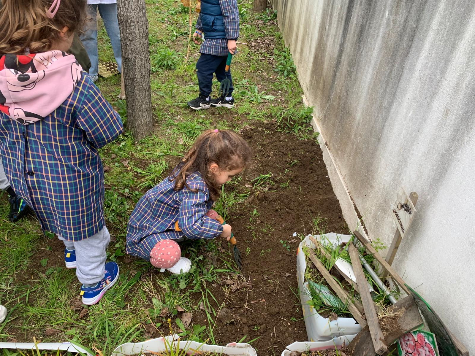 Preparação do terreno