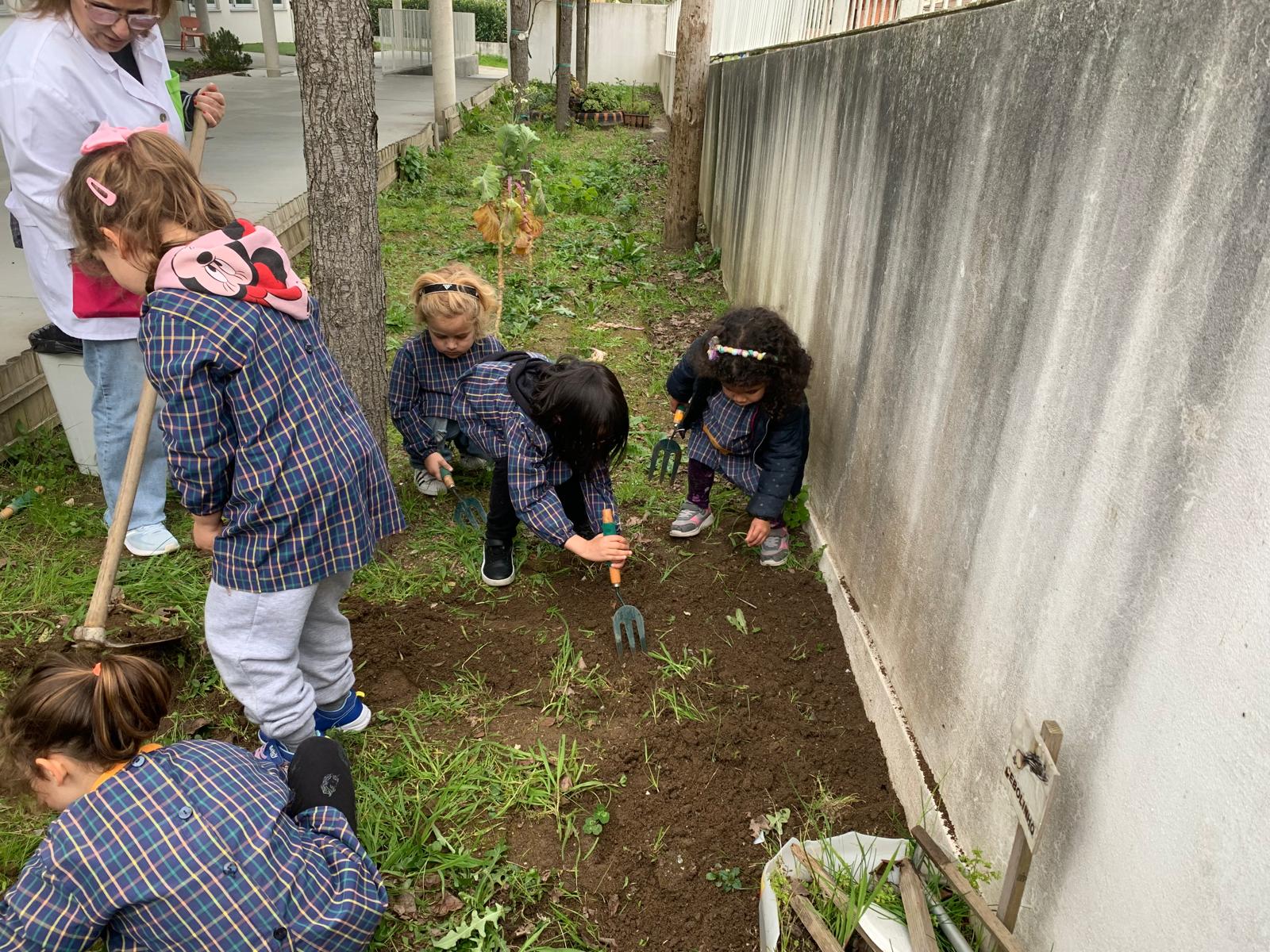 Preparação do terreno