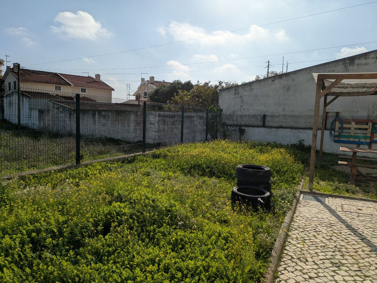 Terreno/local ideal para a nossa hortinha Bio.
Como se vê na foto as ervas estão muito crescidas e a terra ainda não foi preparada para começar a plantar.