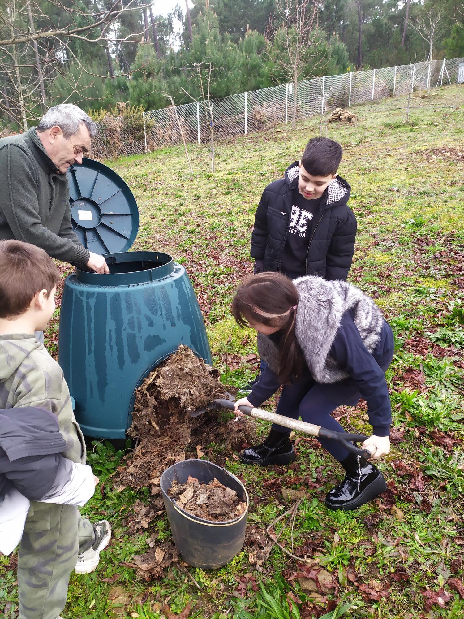 Preparação do solo para sementeira de batatas - utilização da compostagem