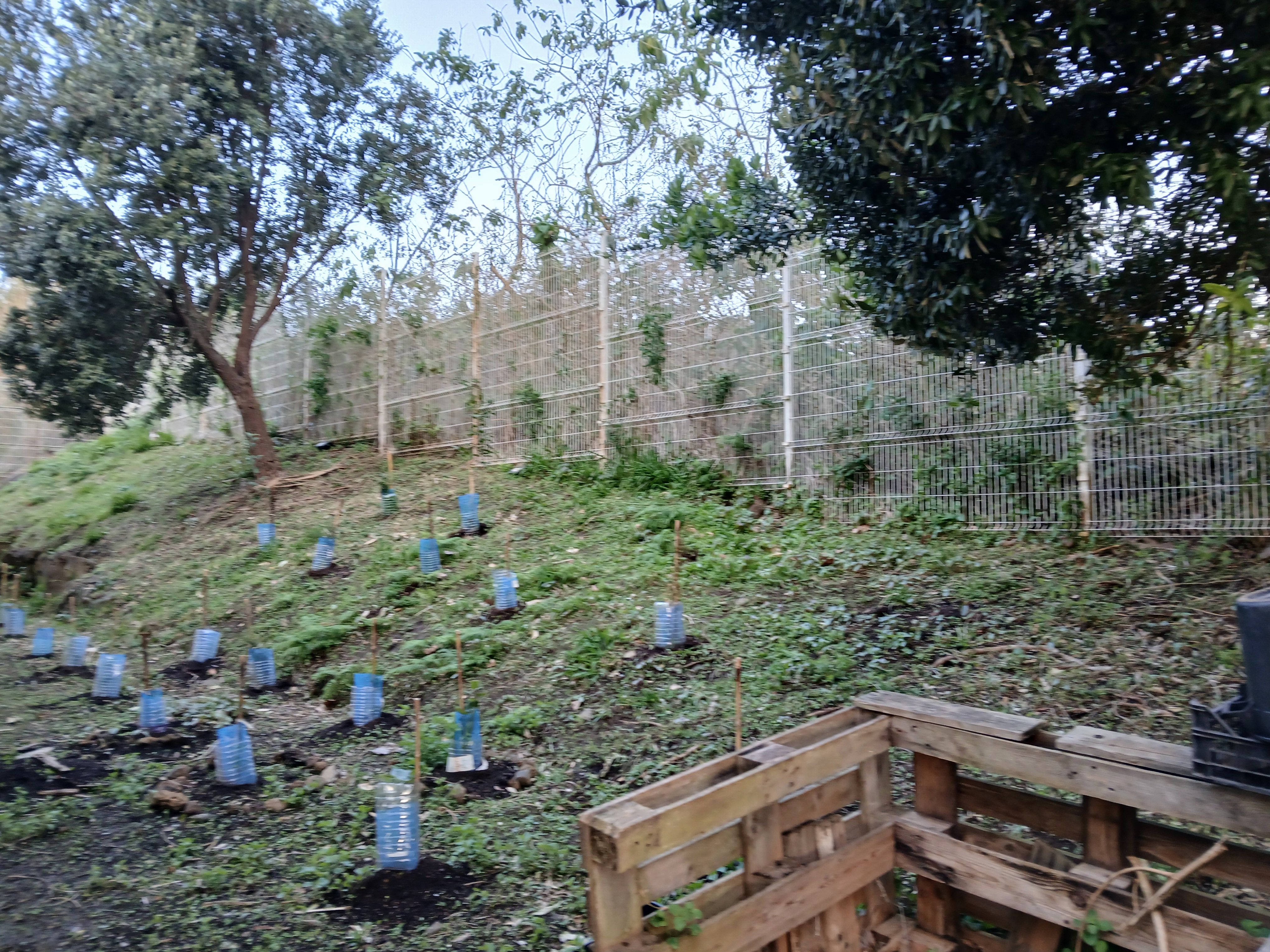 Horta07