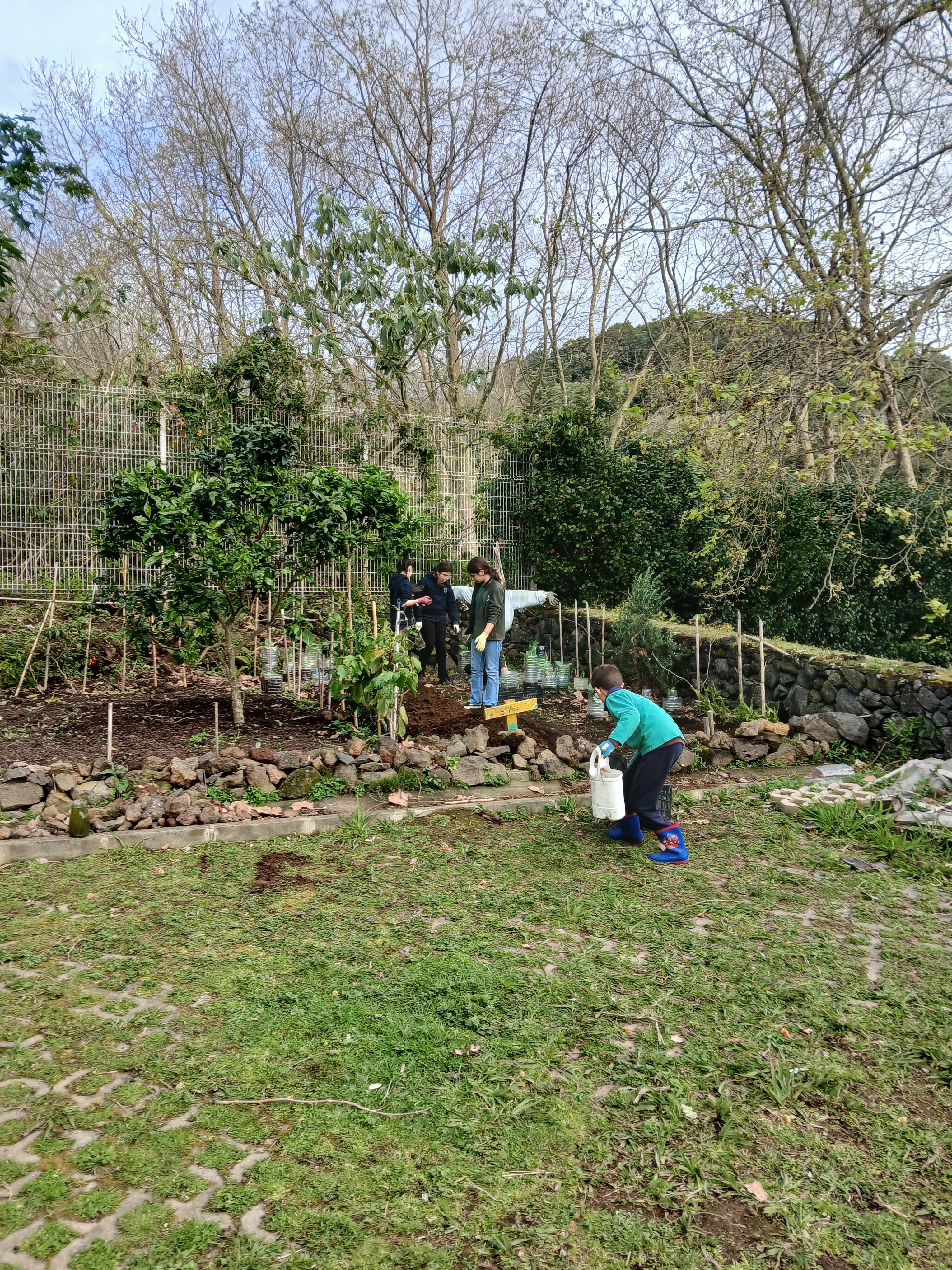 Horta06
