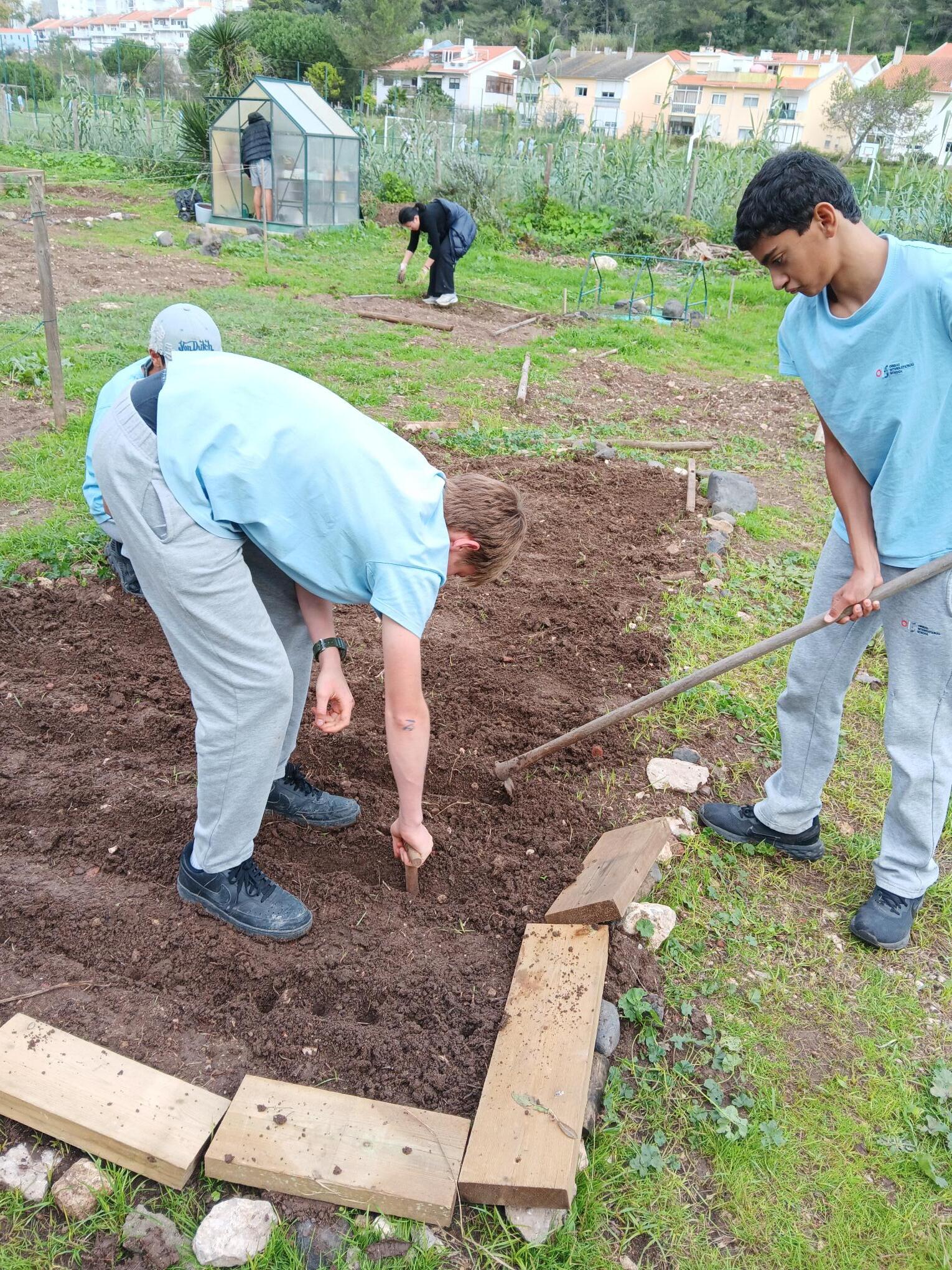 Dois alunos a preparar a cama para plantar com os alunos mais novos