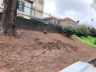Preparação do terreno