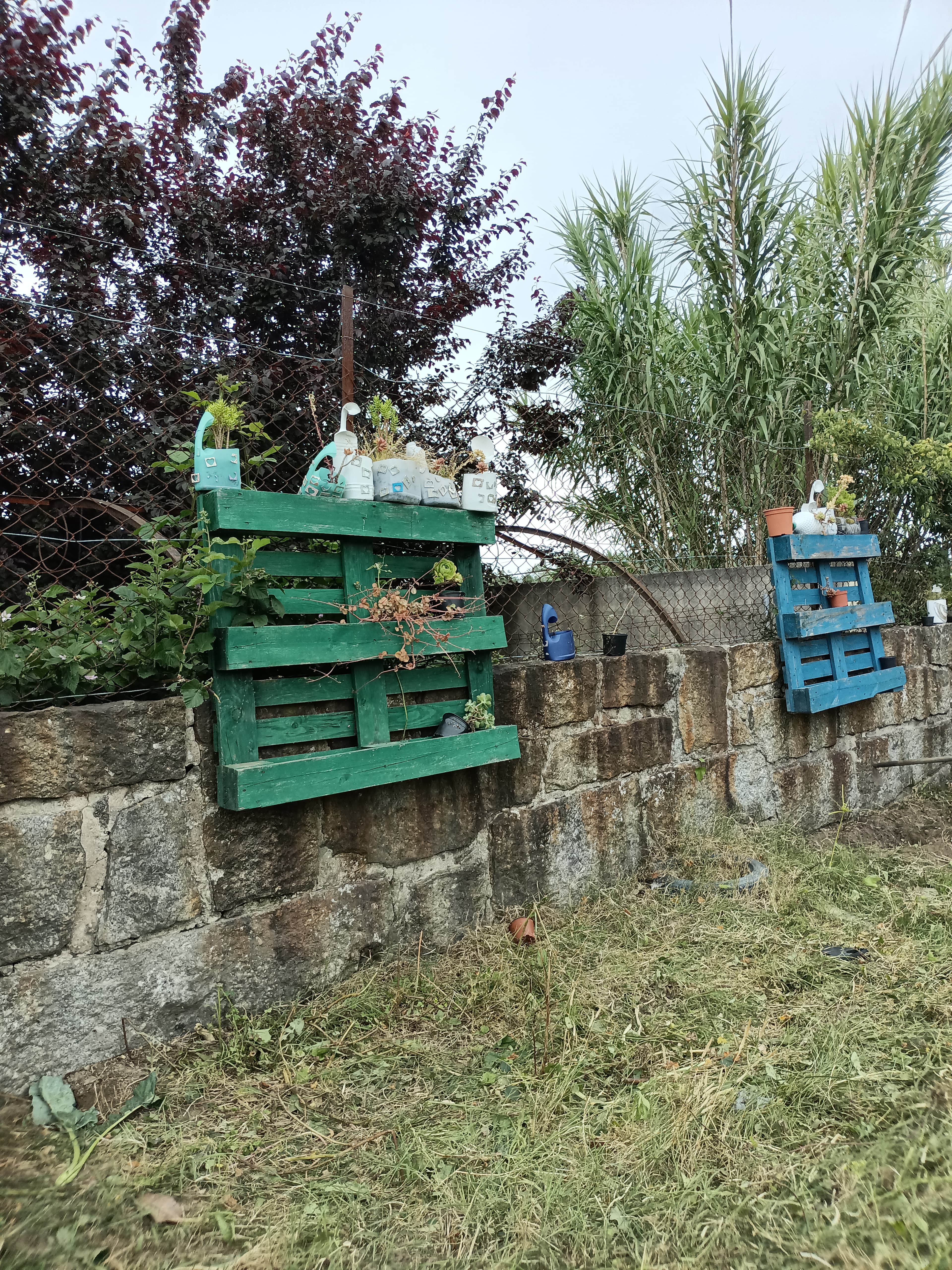 Inicio da limpeza da horta.