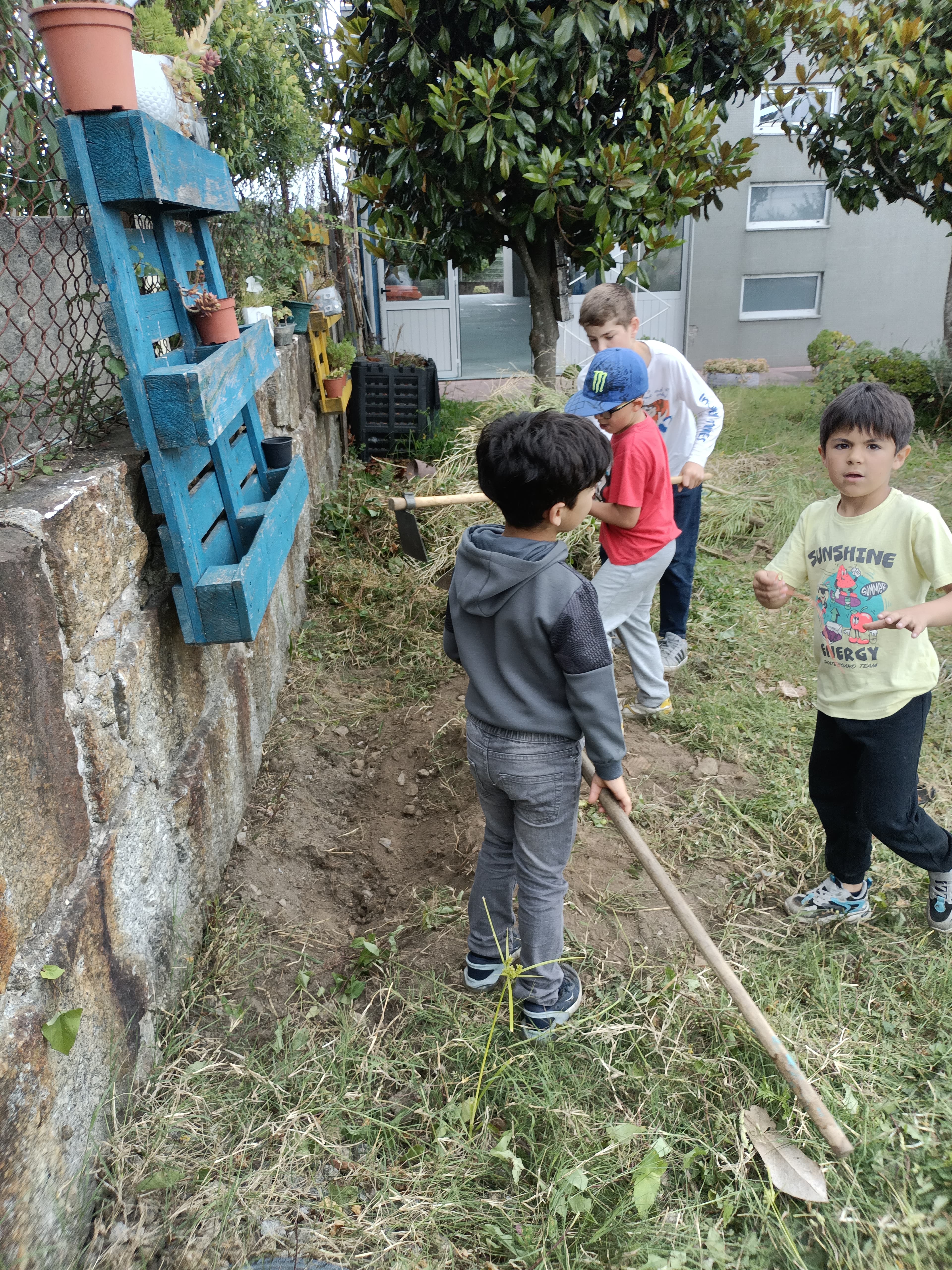 Trabalho por equipas na preparação do solo.