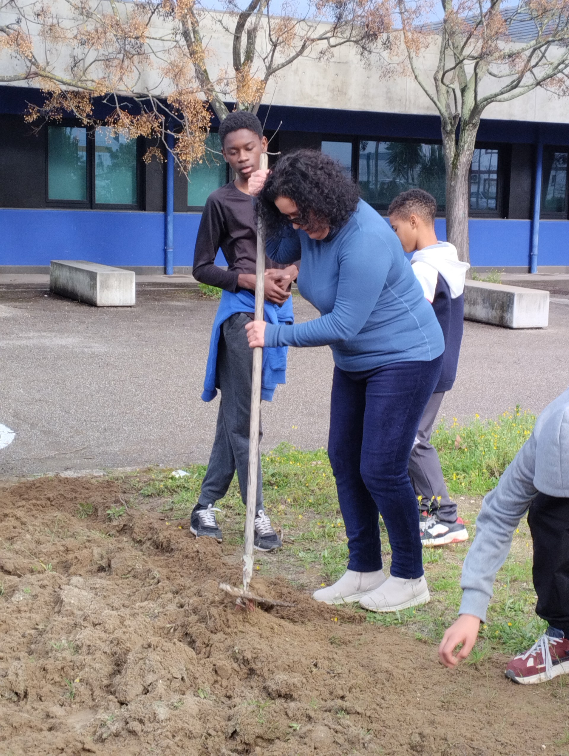 Plantando2.