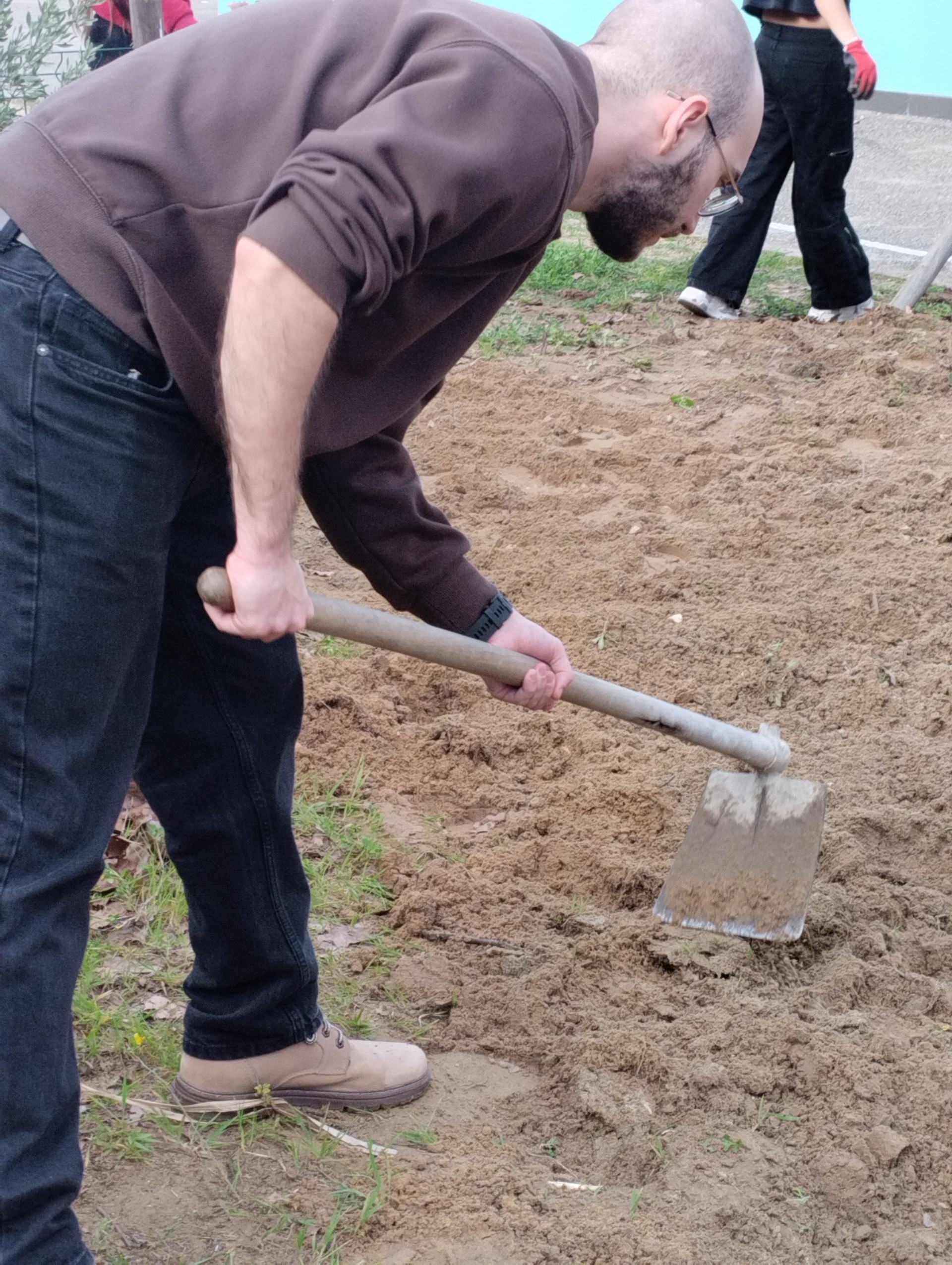 Plantando3.