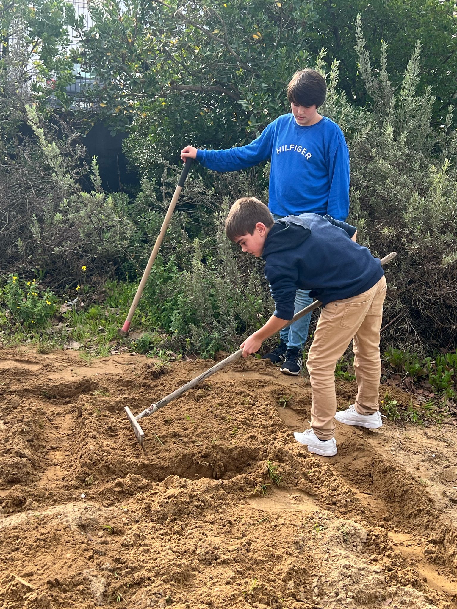 Planando o terreno.