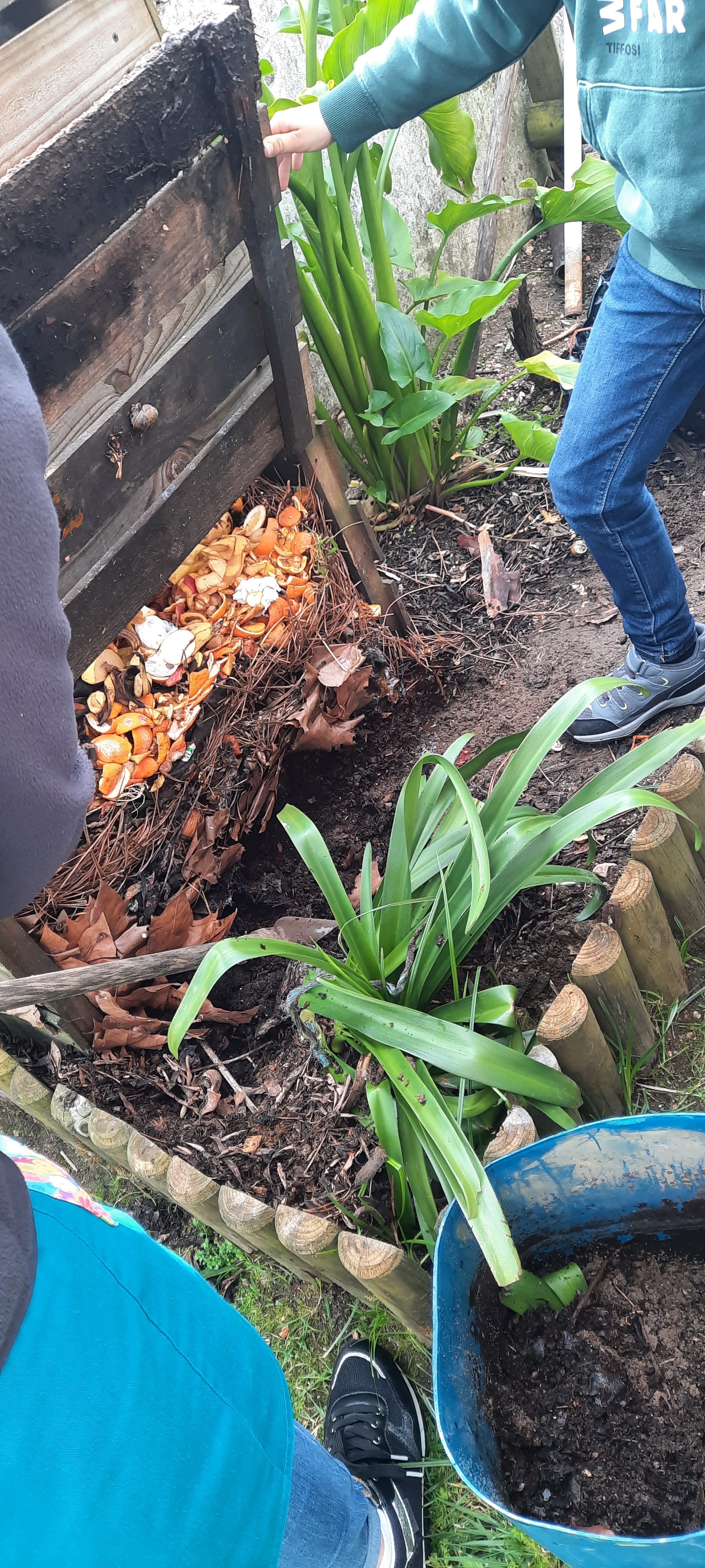 Recolha da compostagem para envolver na terra.