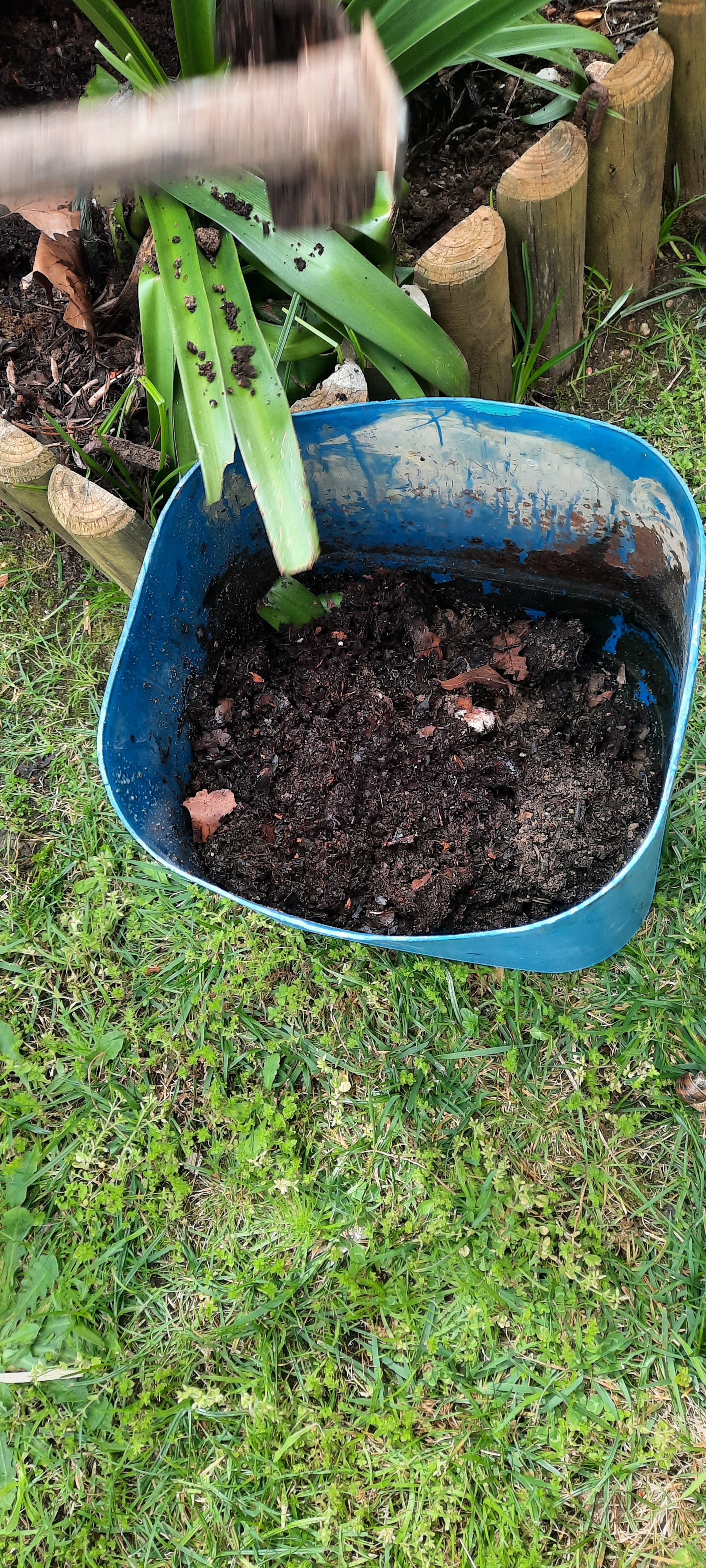 Mistura de compostagem com terra.