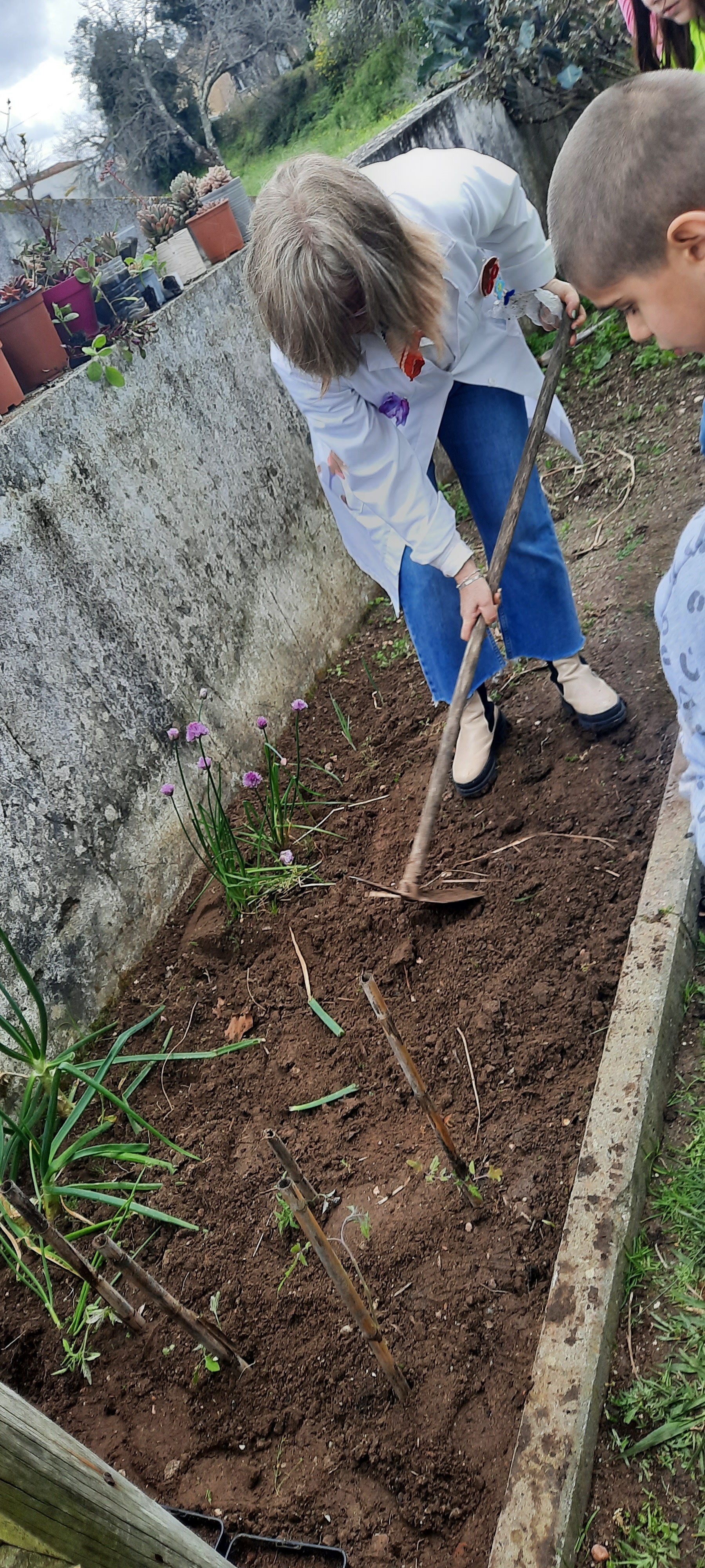 Envolver a mistura da compostagem e terra no terreno e preparar para as culturas.