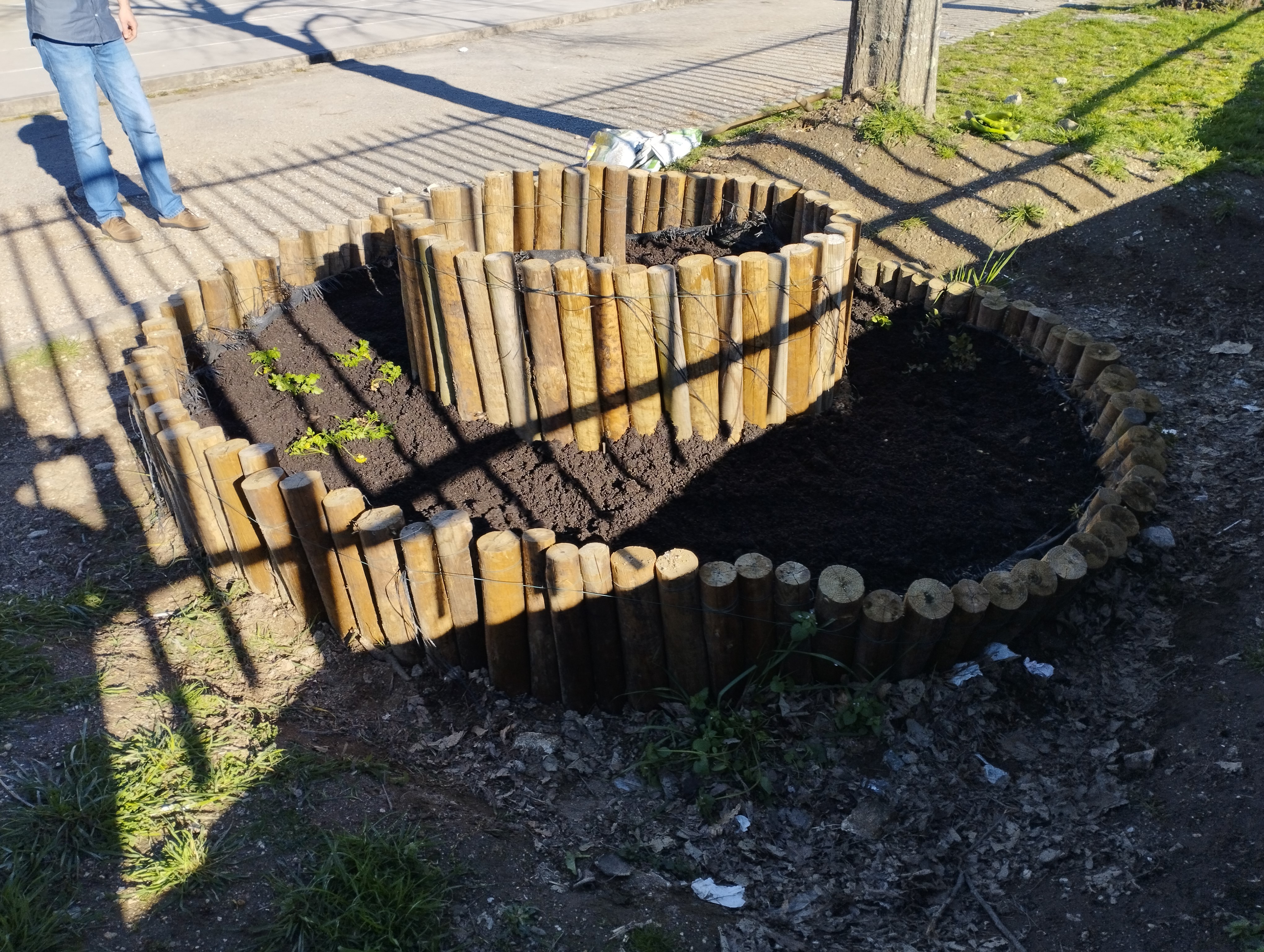 A sementeira/plantação começa...