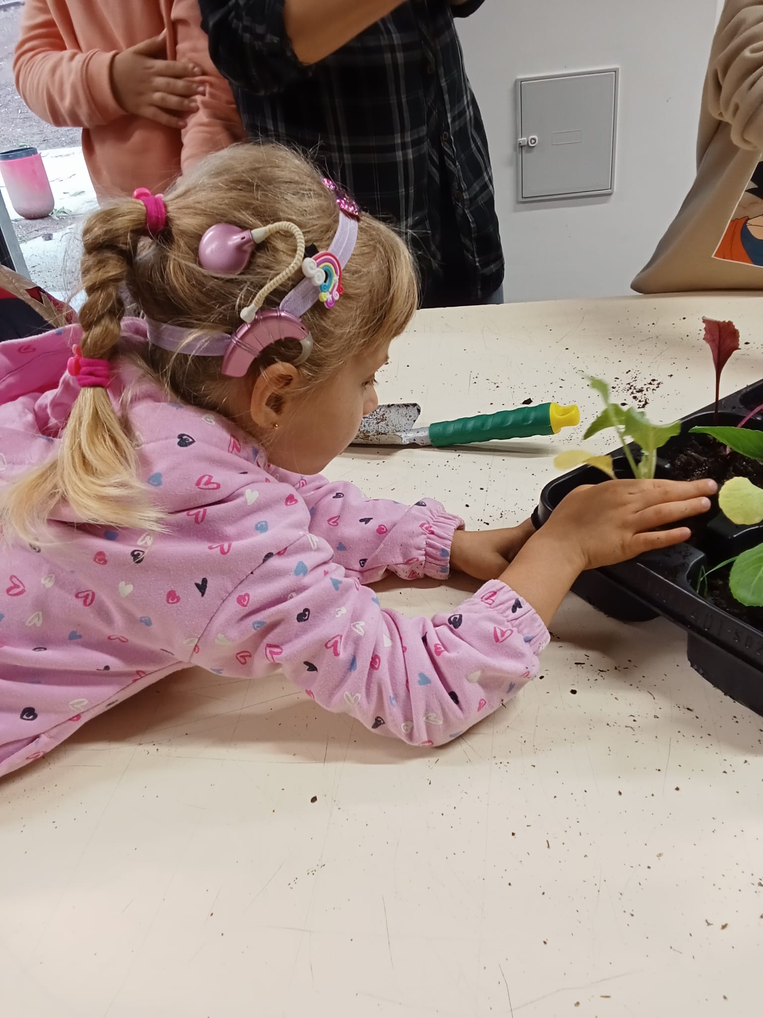 exploração sensorial das plantas