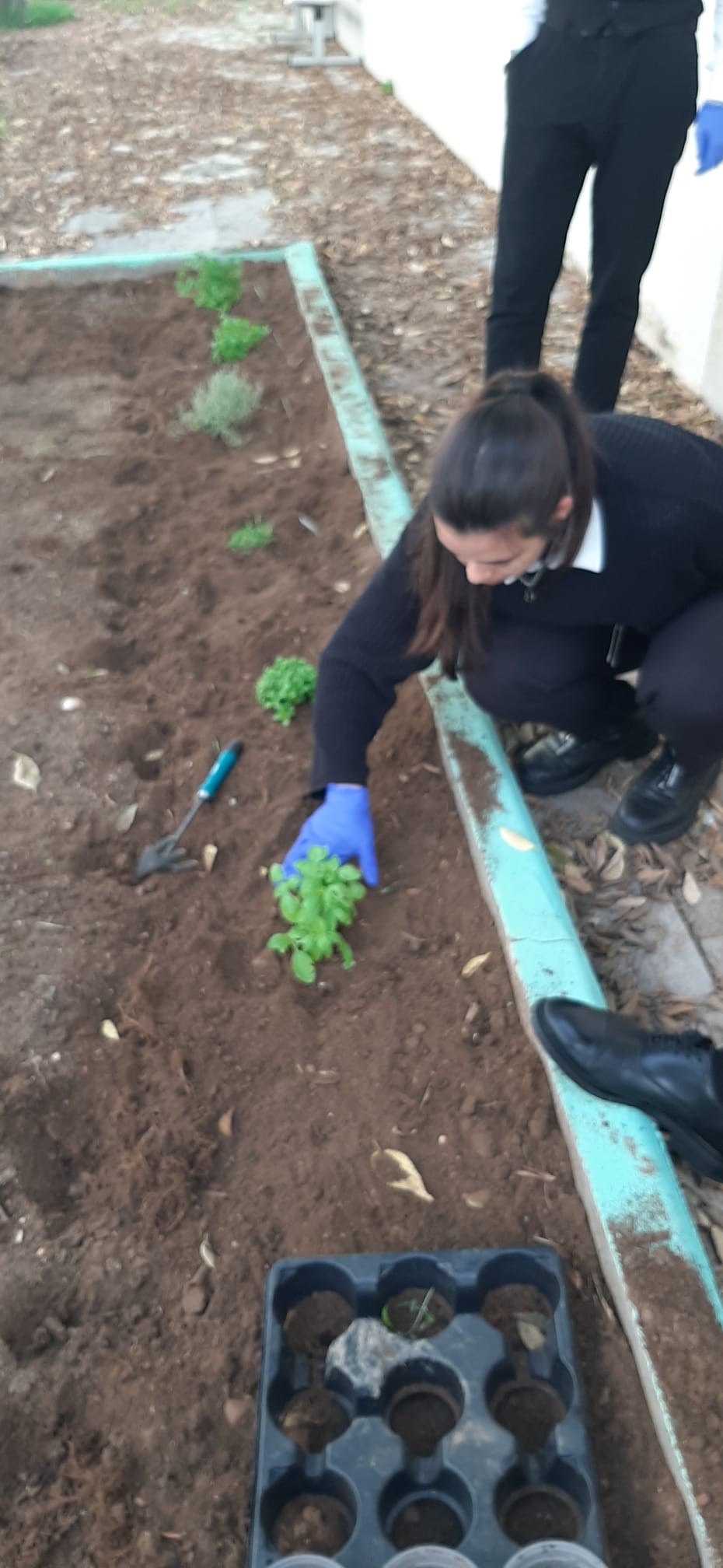 Na nossa horta, dedicamo-nos à plantação de diversas ervas aromáticas, essenciais para dar sabor e aroma aos nossos pratos. O processo de plantação destas ervas é realizado com cuidado e atenção aos detalhes.