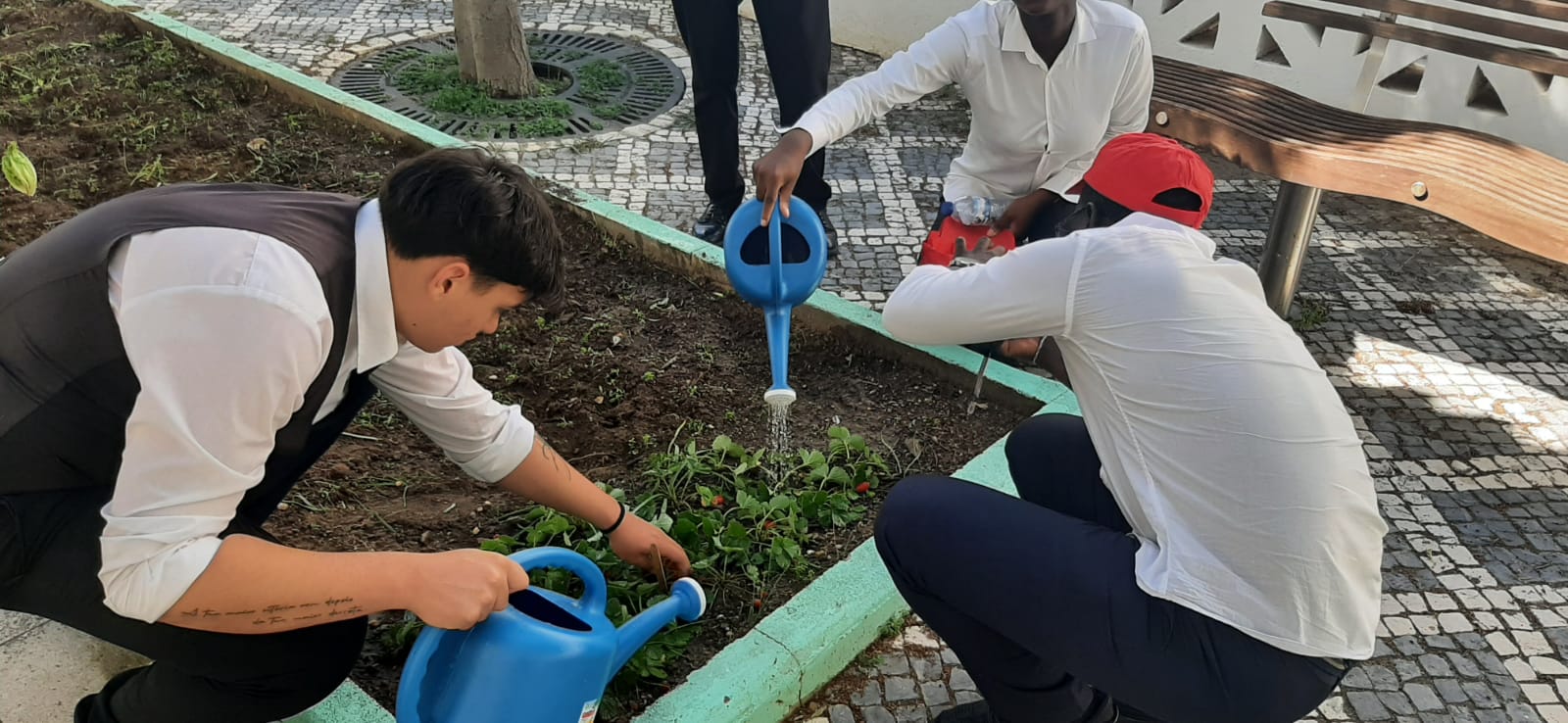A imagem mostra o envolvimento de três alunos numa atividade prática: a rega de um canteiro de frutos e legumes. Esta ação simples reflete o compromisso com a sustentabilidade, incentivando o cuidado com a natureza e a adoção de comportamentos ecológicos