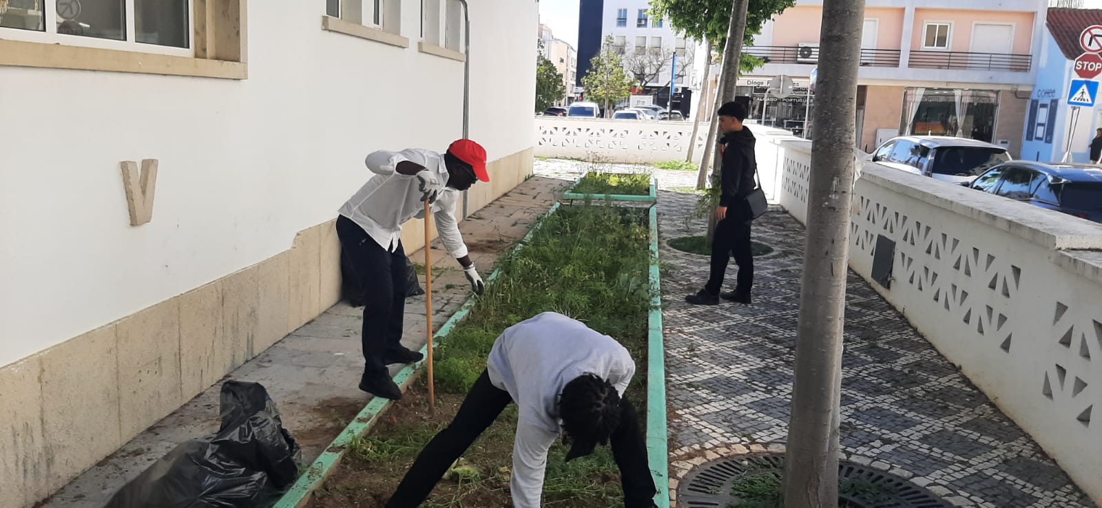 A imagem retrata os alunos a colaborarem na manutenção da horta. Um dos alunos manuseia uma enxada, outro encontra-se a remover ervas daninhas, enquanto o terceiro prepara a sua  atividade.