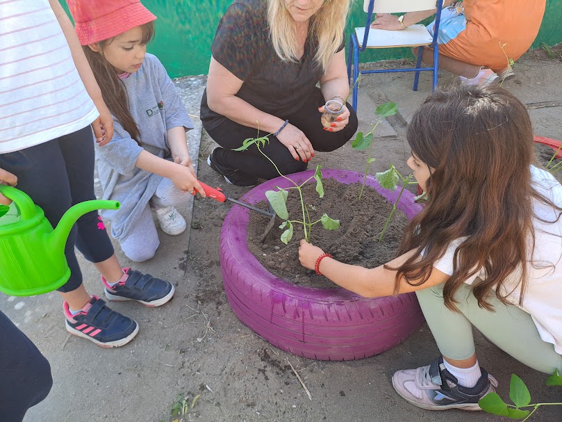 Plantação de plantas que os alunos trouxeram de casa