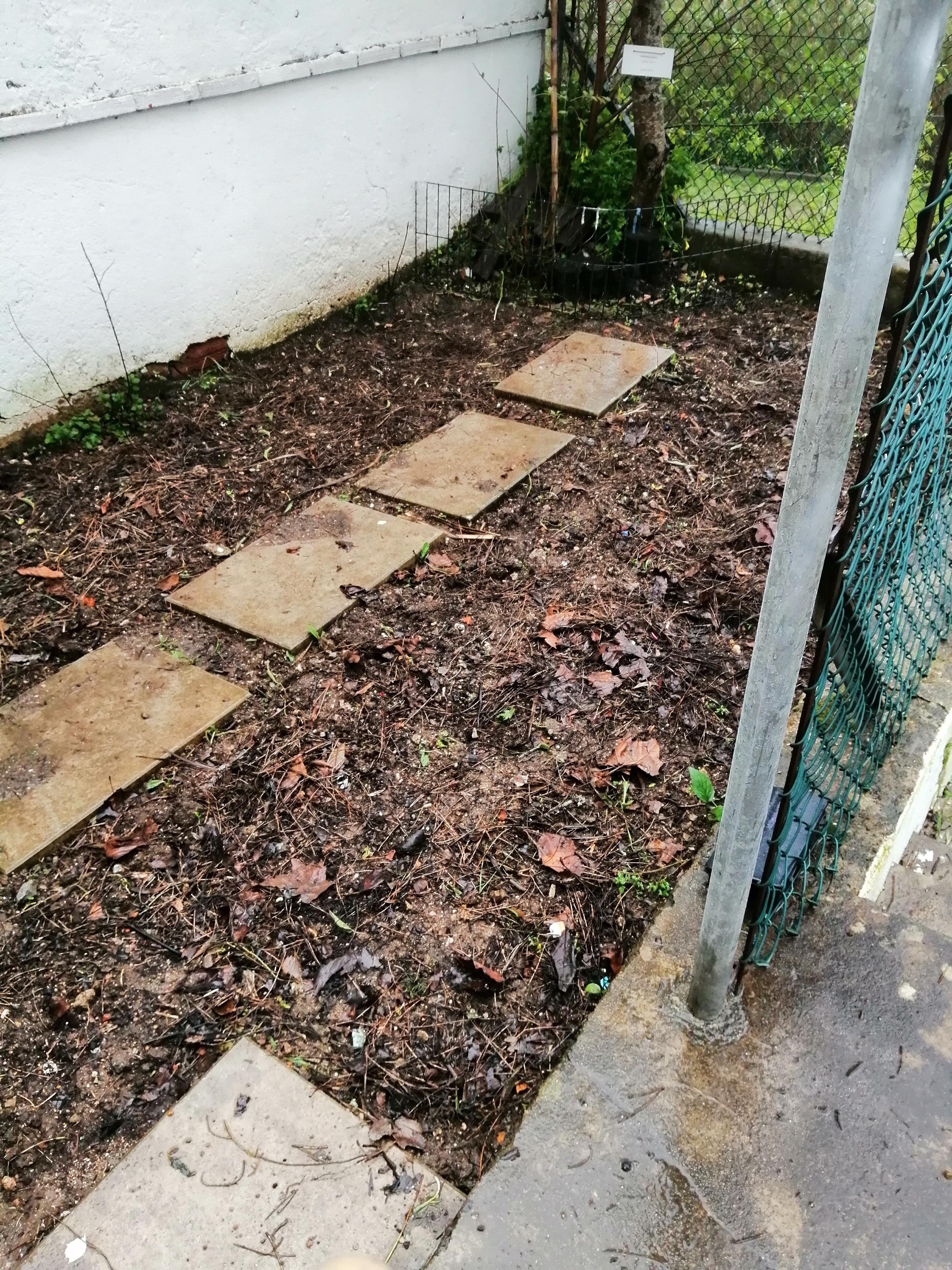 foto tirada em fevereiro, já como terreno limpo