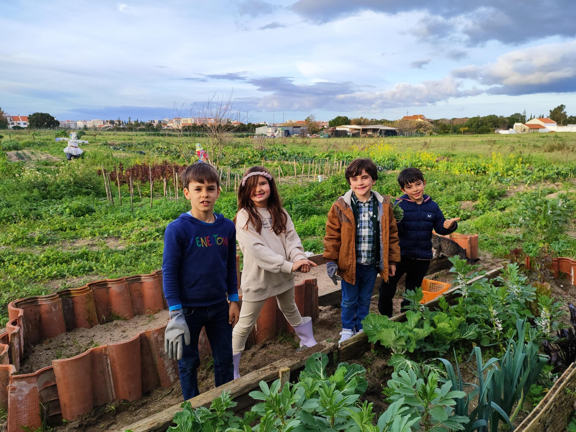Retirar ervas daninhas para um melhor crescimento das plantações