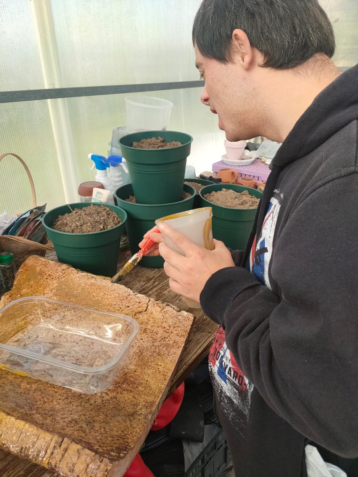 trabalhos com cortiça/plantas