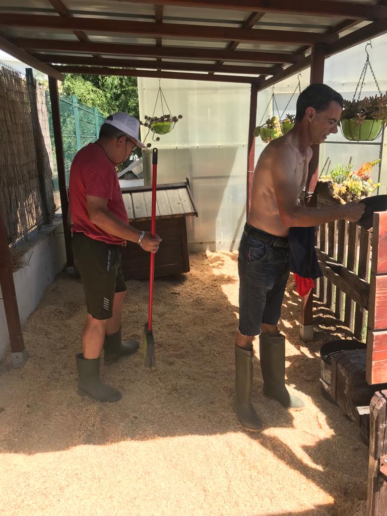 limpeza curral dos animais