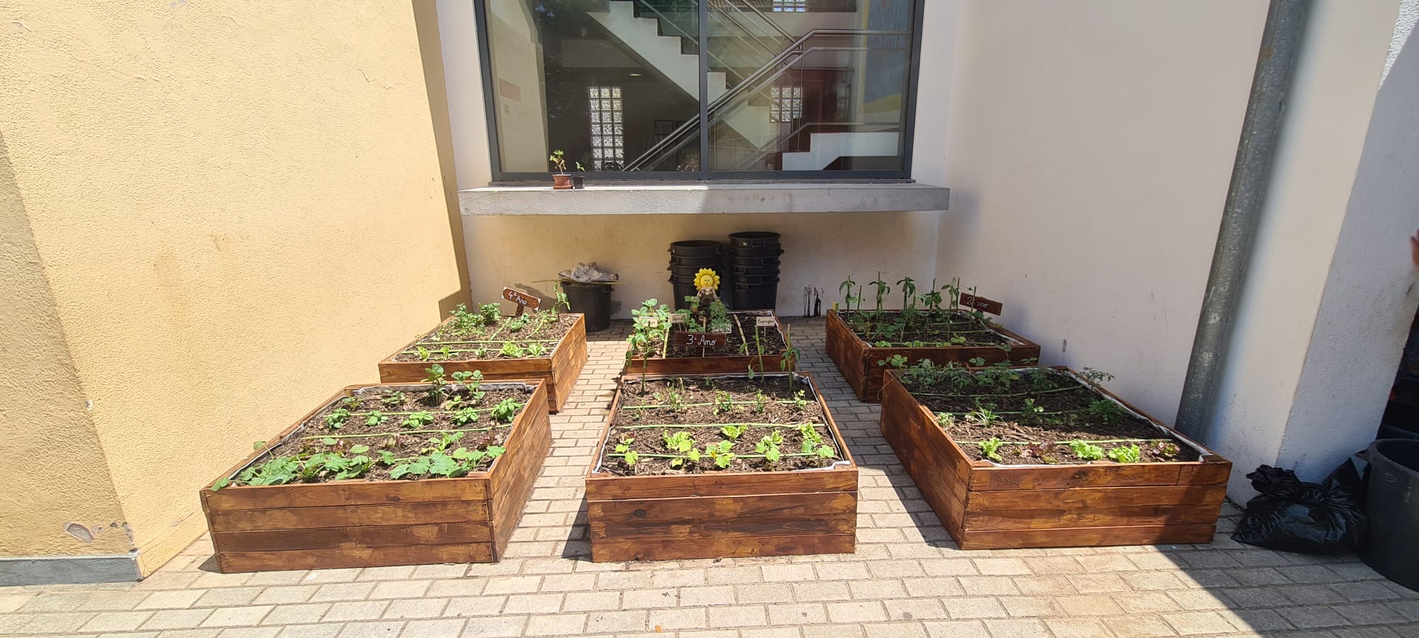 Crescimento e desenvolvimento dos produtos hortícolas
