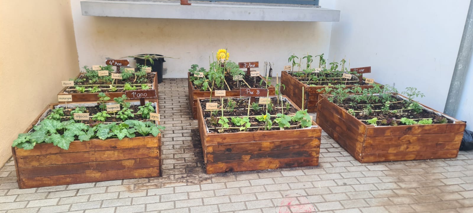 Desenvolvimento dos produtos hortícolas