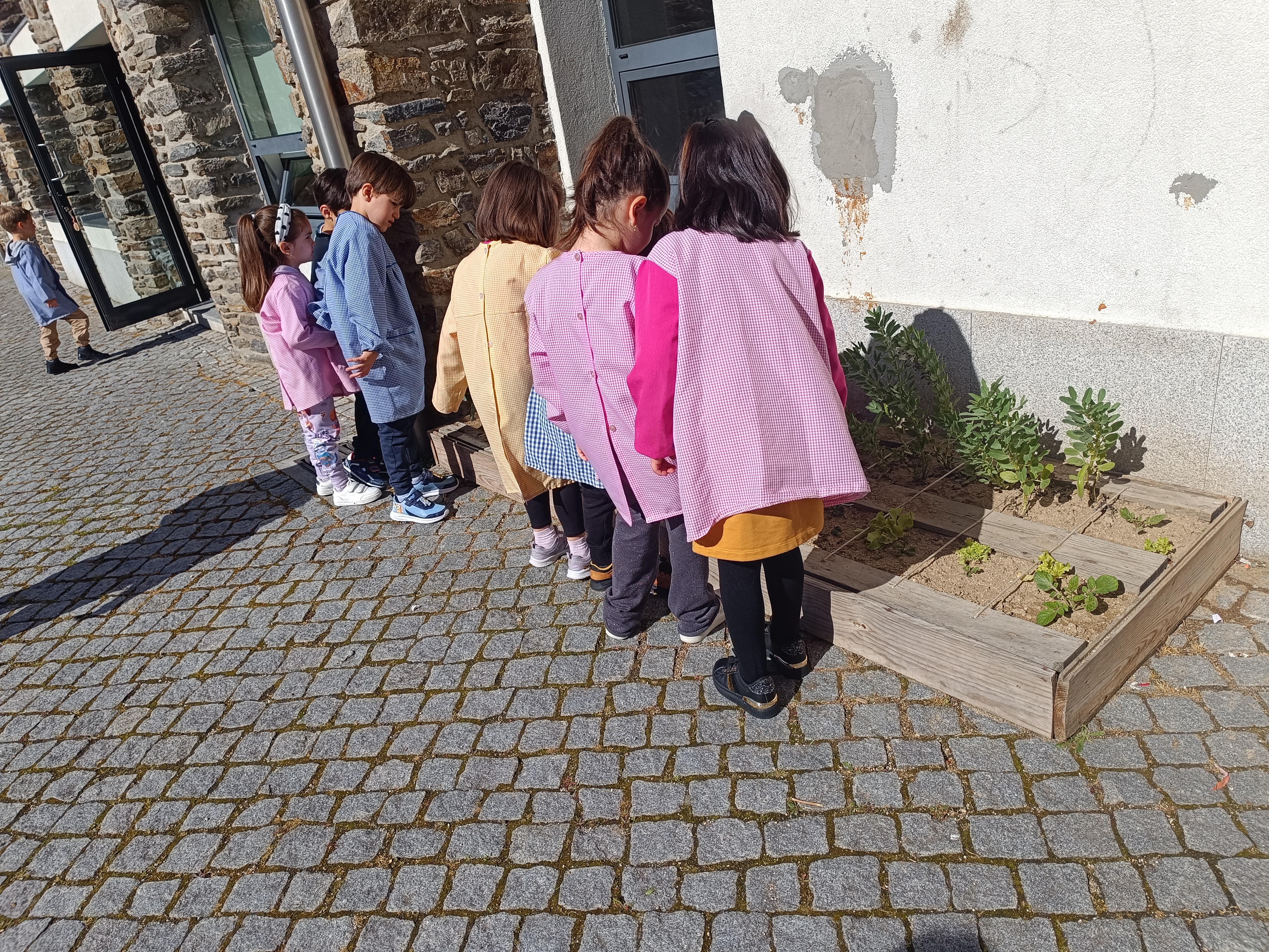 Horta do pré-escolar (Abril)  - Os alunos avaliam o estado das plantas da horta.