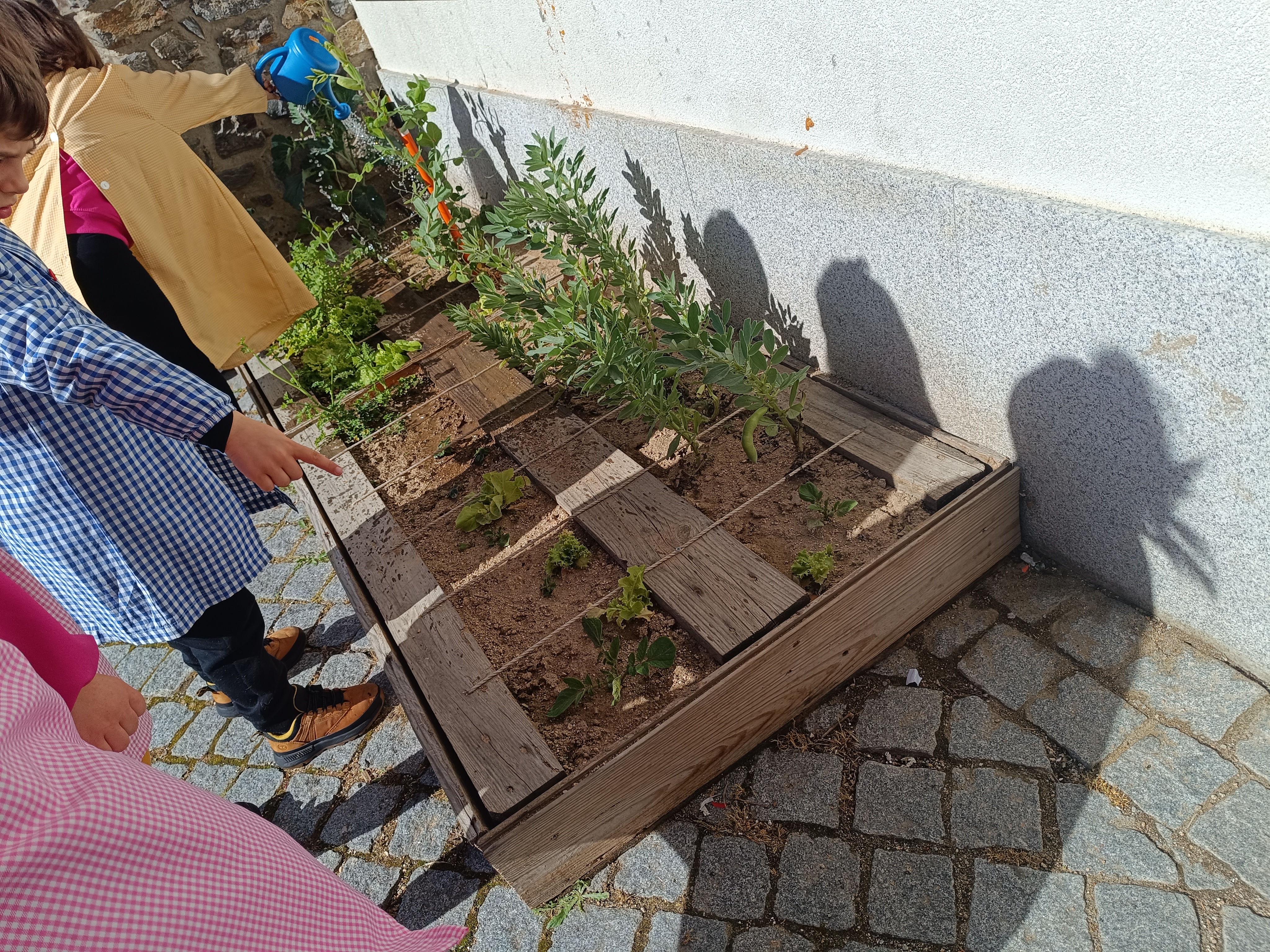 Horta do pré-escolar (Abril)  - O solo esta seco, os alunos decidem regar a horta.