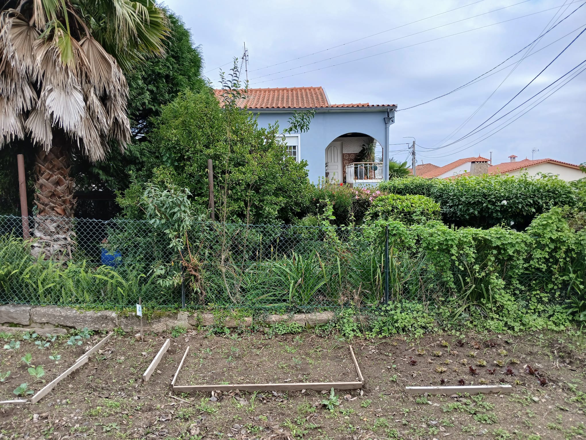 Novembro... aqui vai nascer vida! estamos preparados!