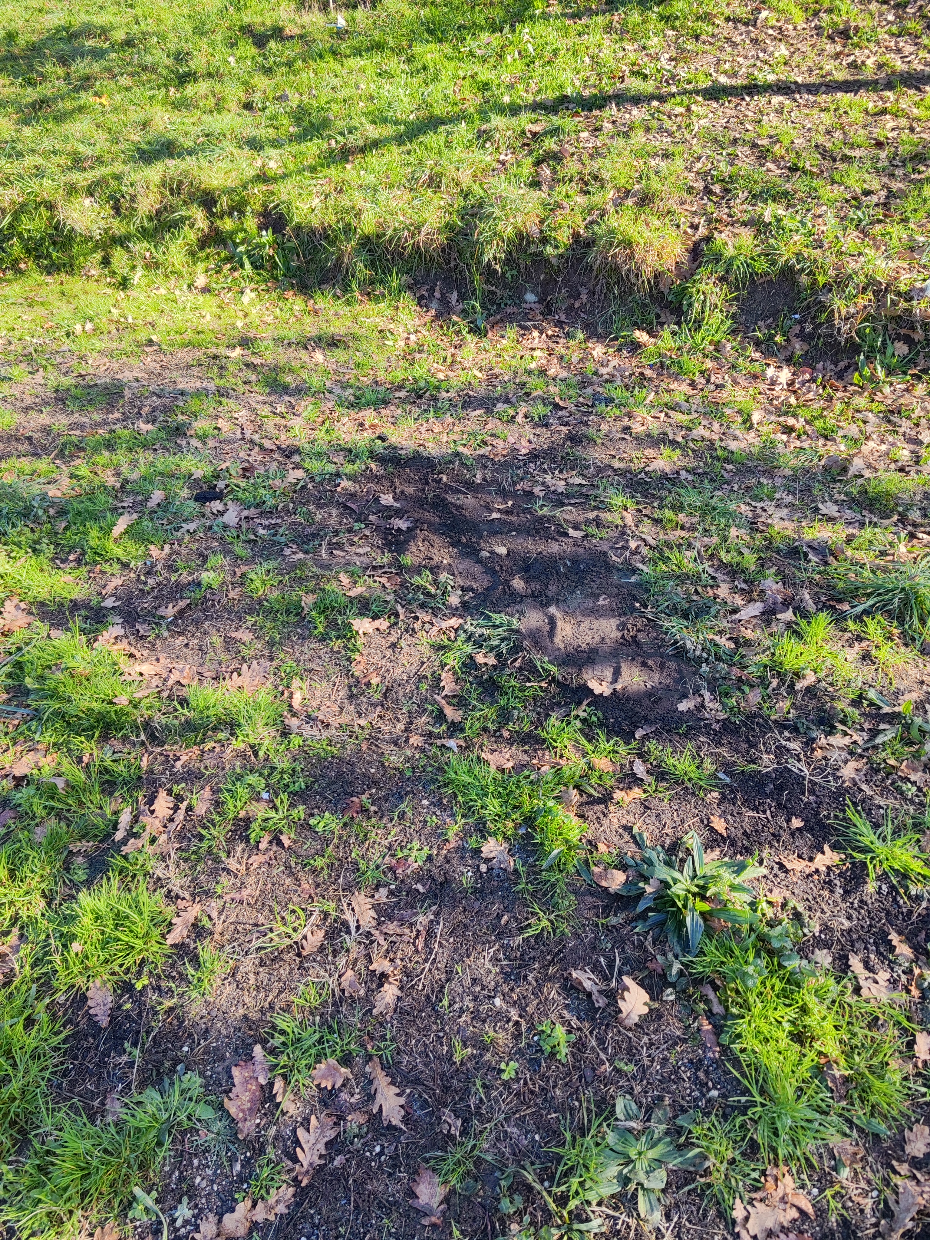 Terreno a utilizar