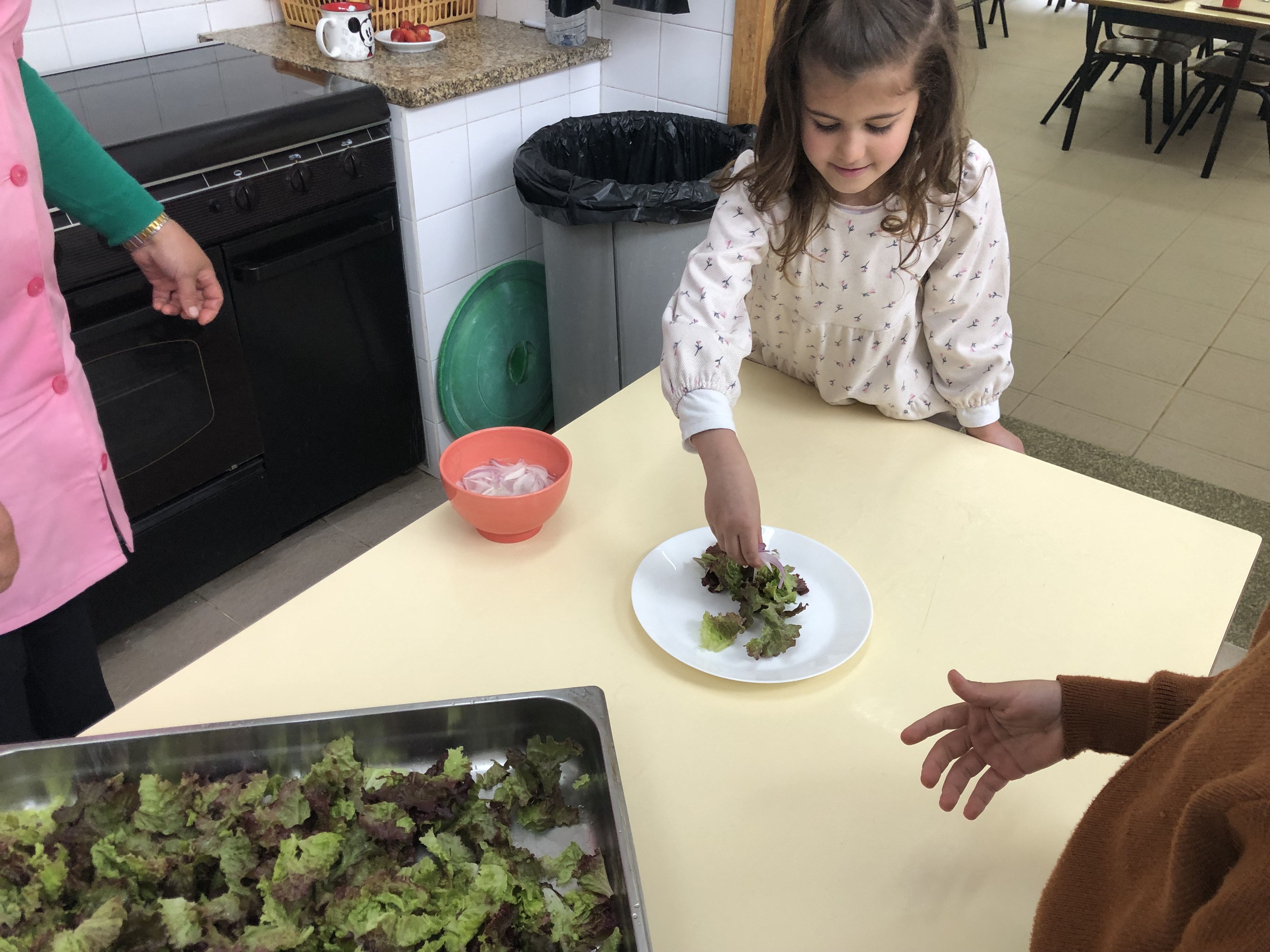 Confeção da salada com alface e cebola para o almoço.